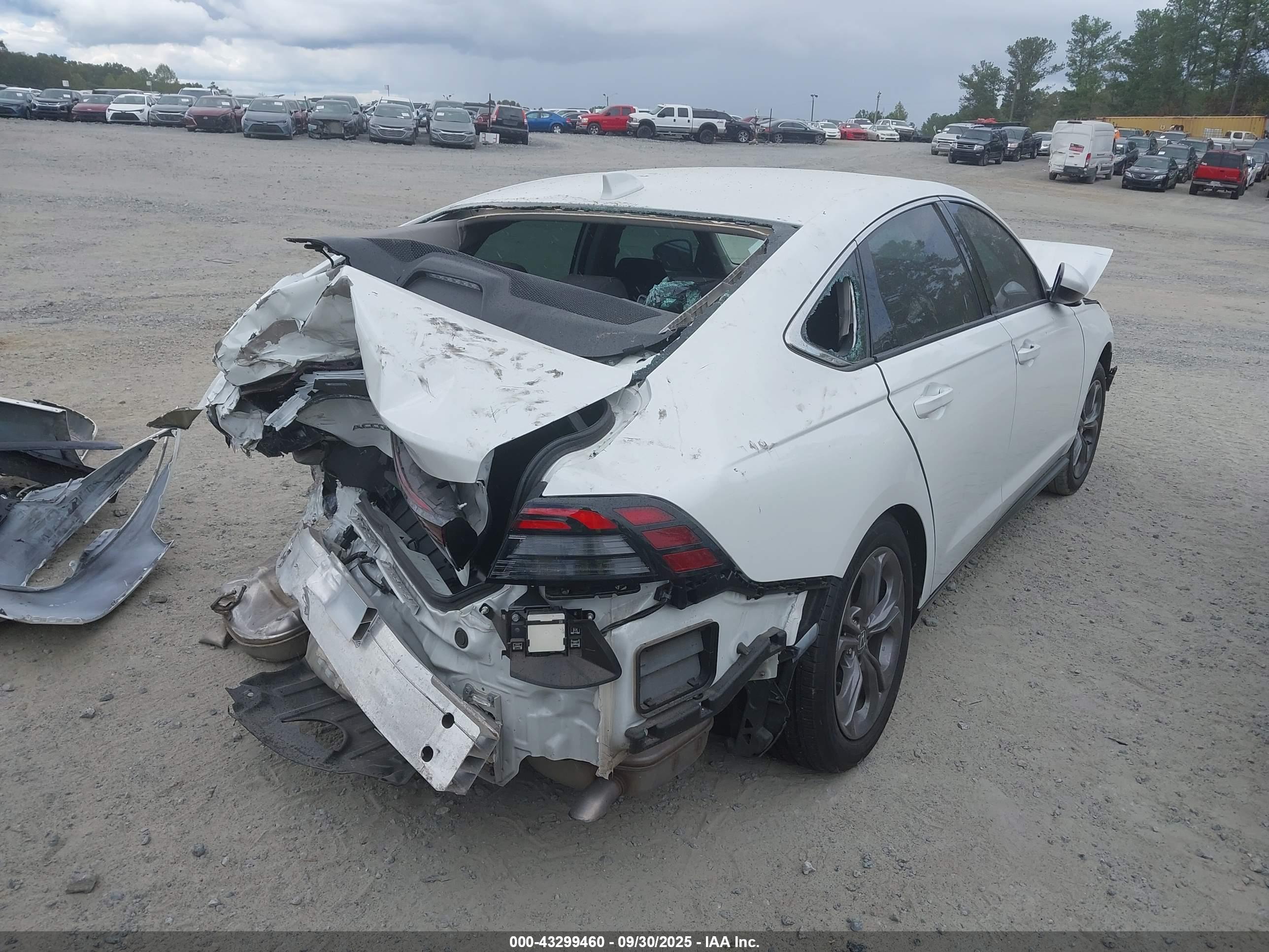 HONDA ACCORD image 4