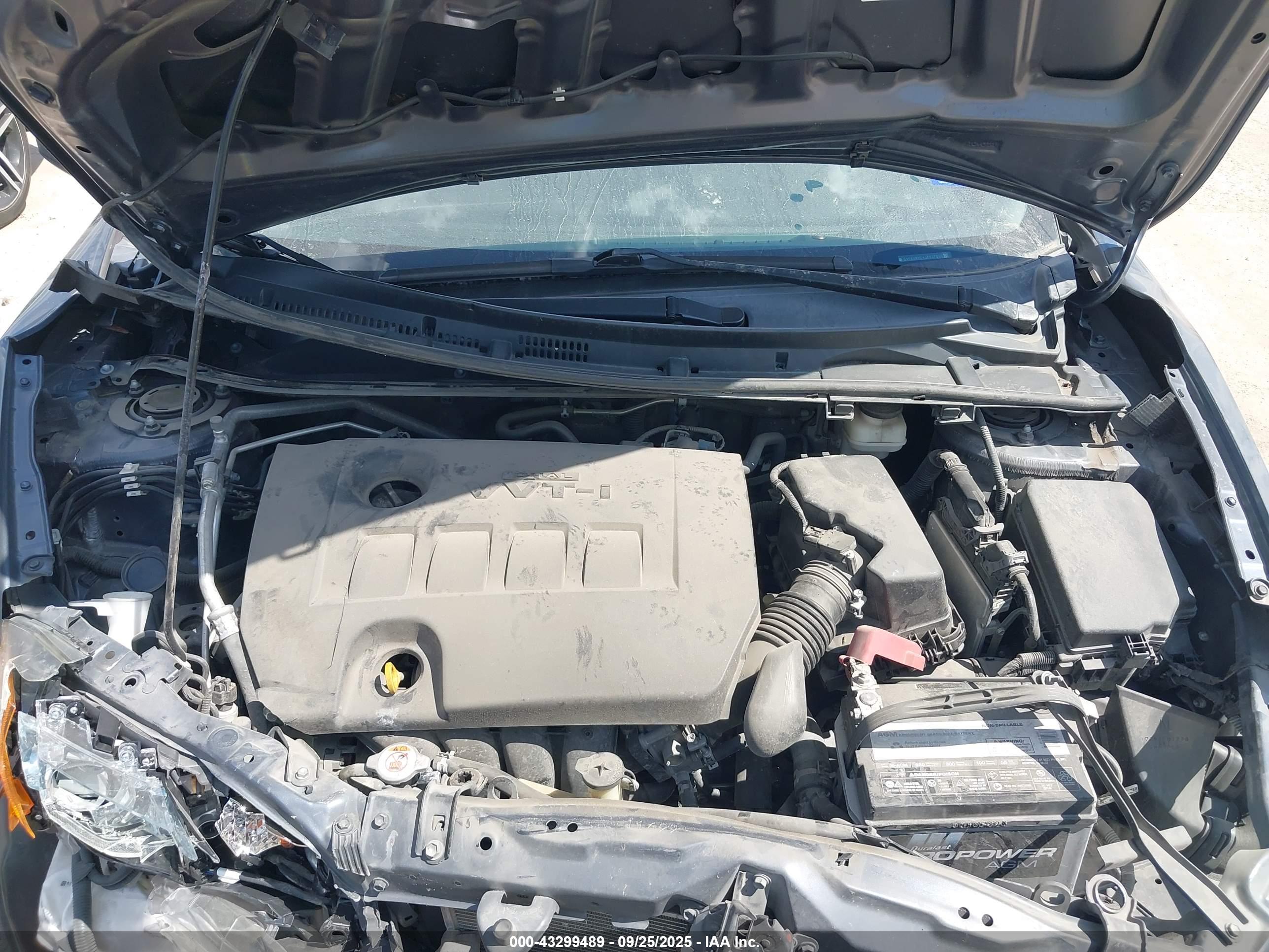 TOYOTA COROLLA image 10