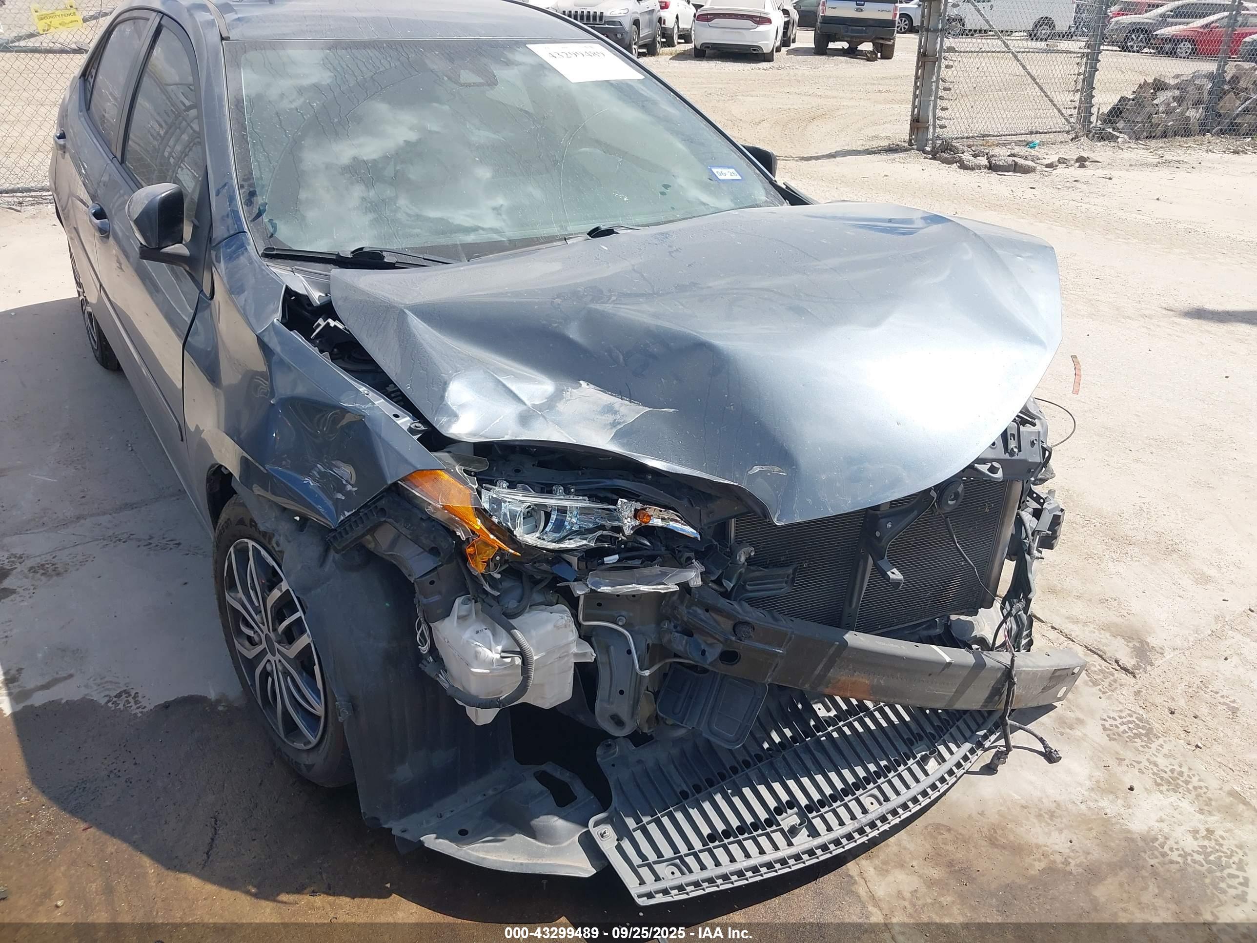 TOYOTA COROLLA image 6