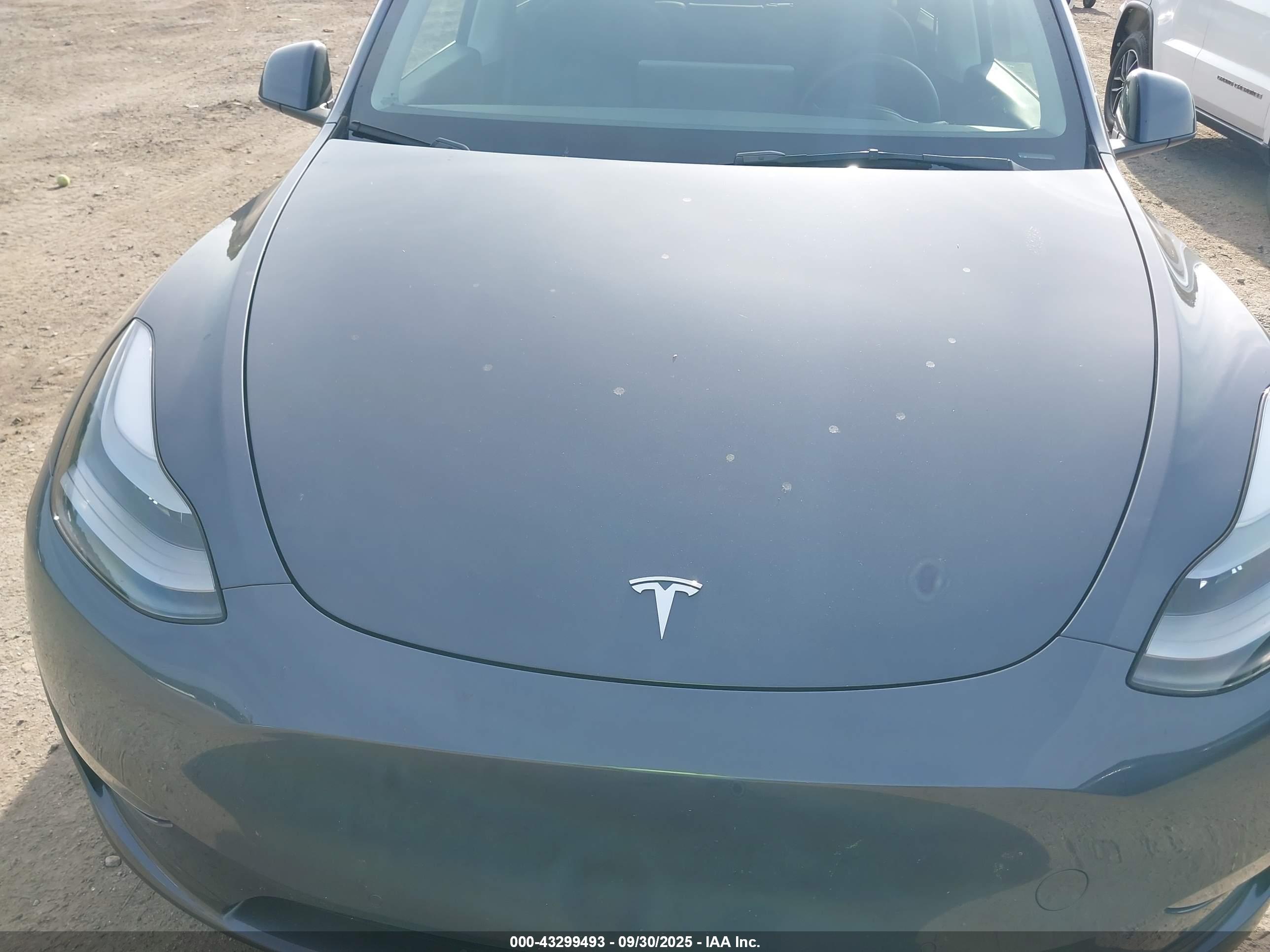 TESLA MODEL image 10