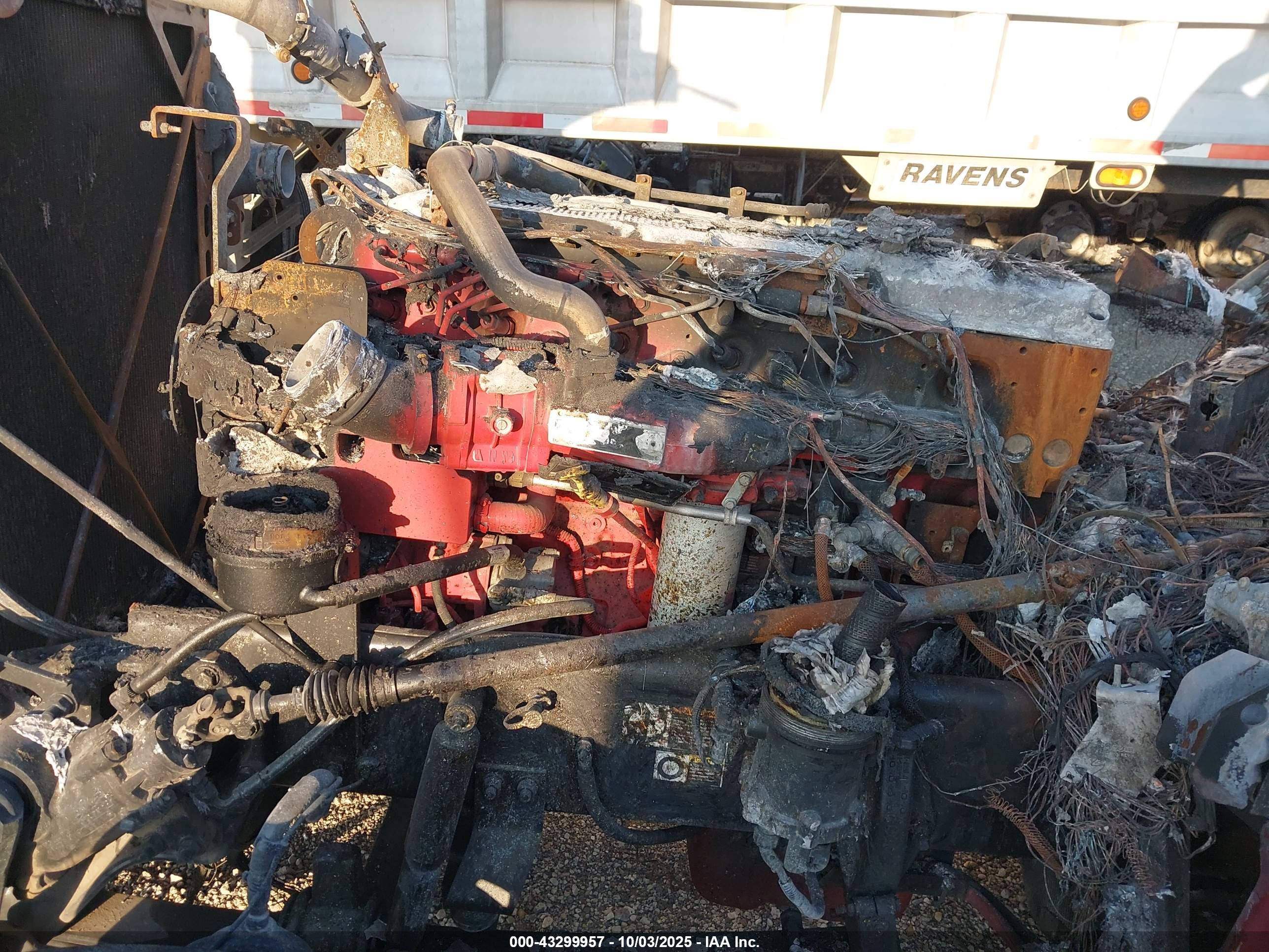 PETERBILT 389 image 10