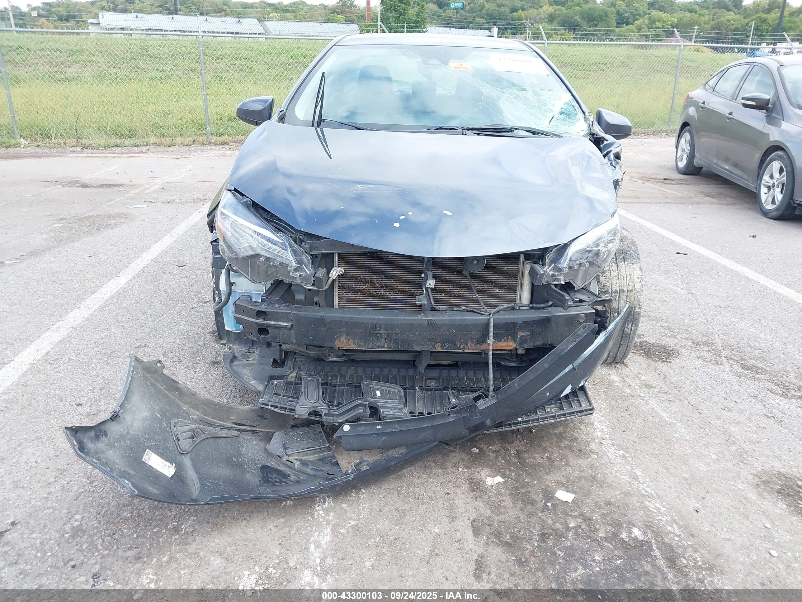 TOYOTA COROLLA image 6