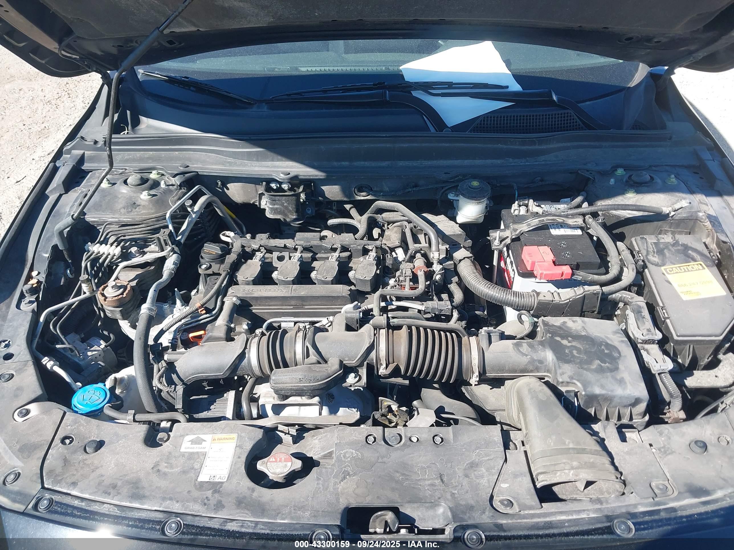 HONDA ACCORD image 10