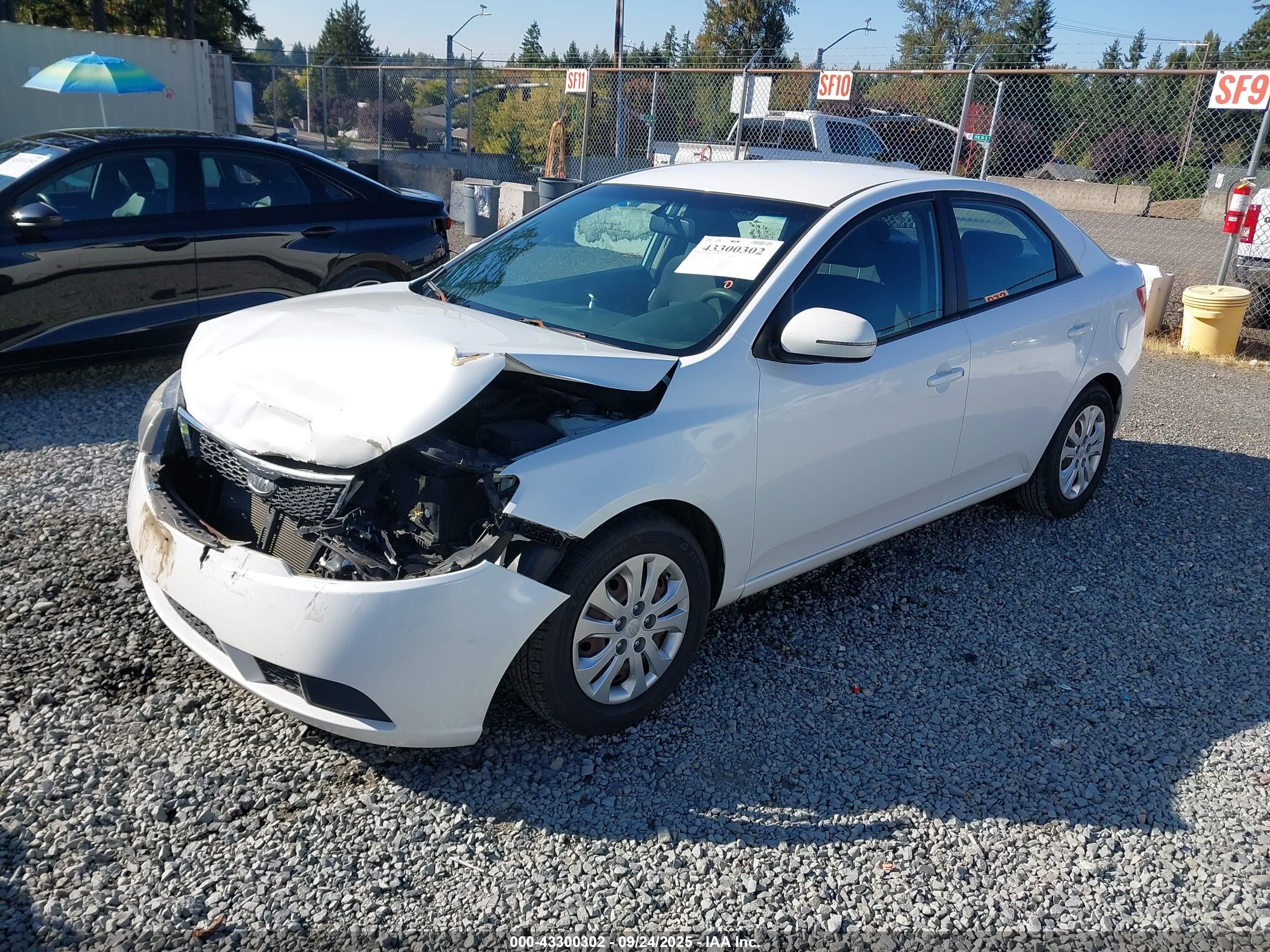 KIA FORTE image 2