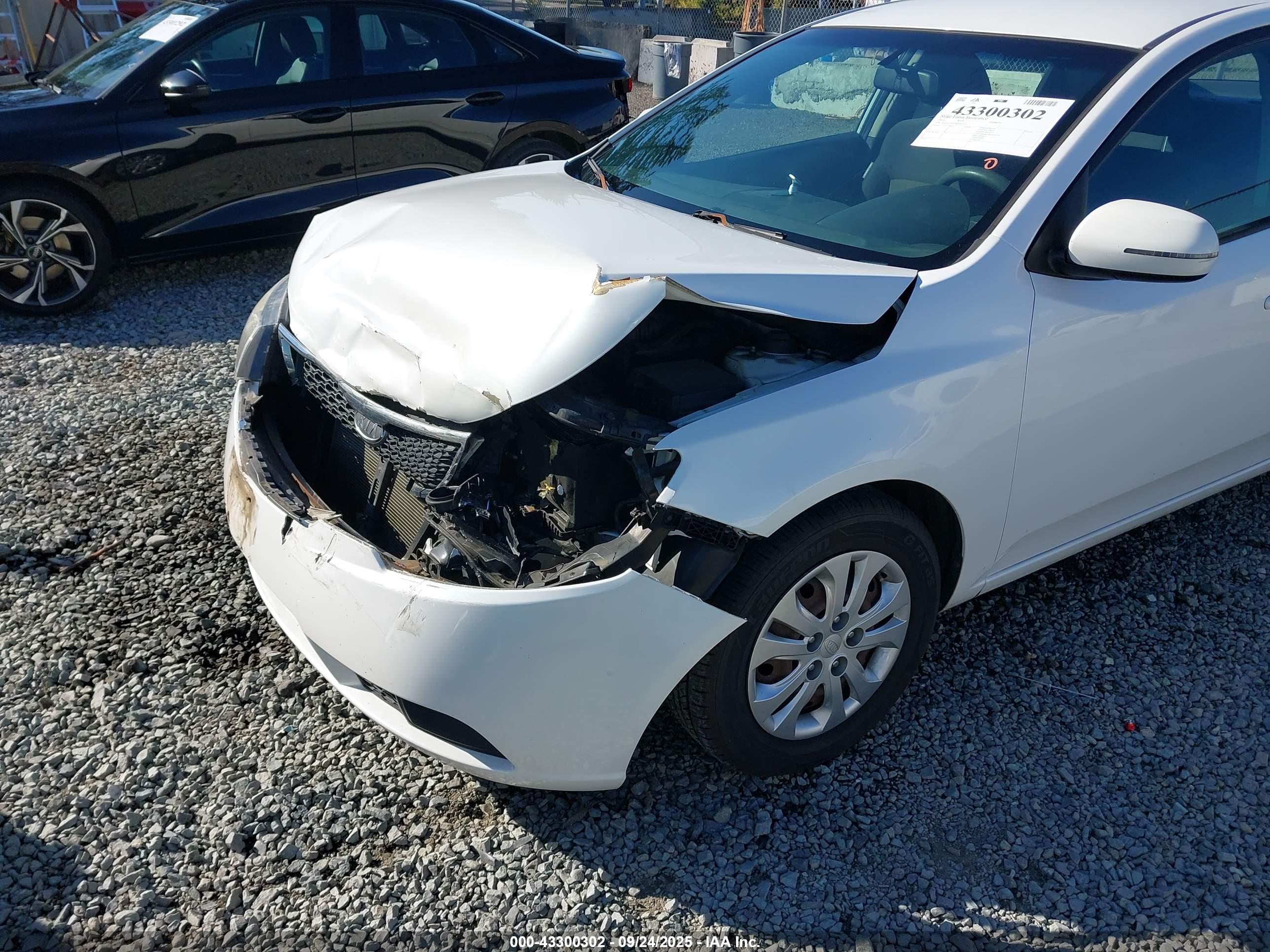 KIA FORTE image 6