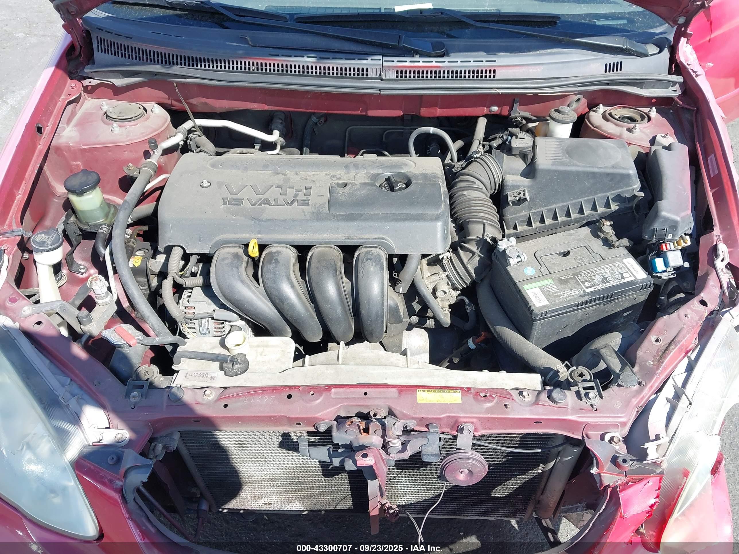 TOYOTA COROLLA image 10
