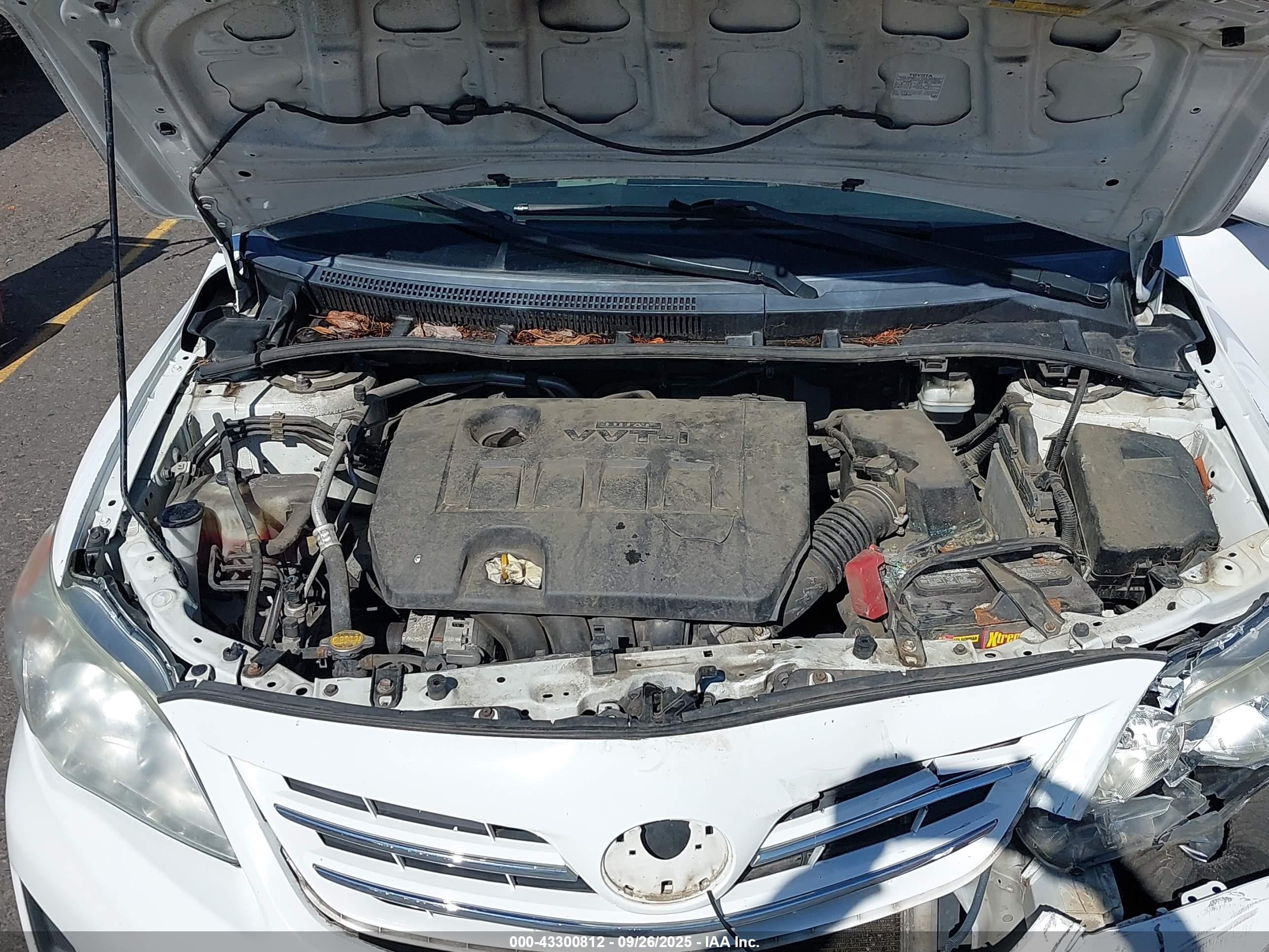 TOYOTA COROLLA image 10