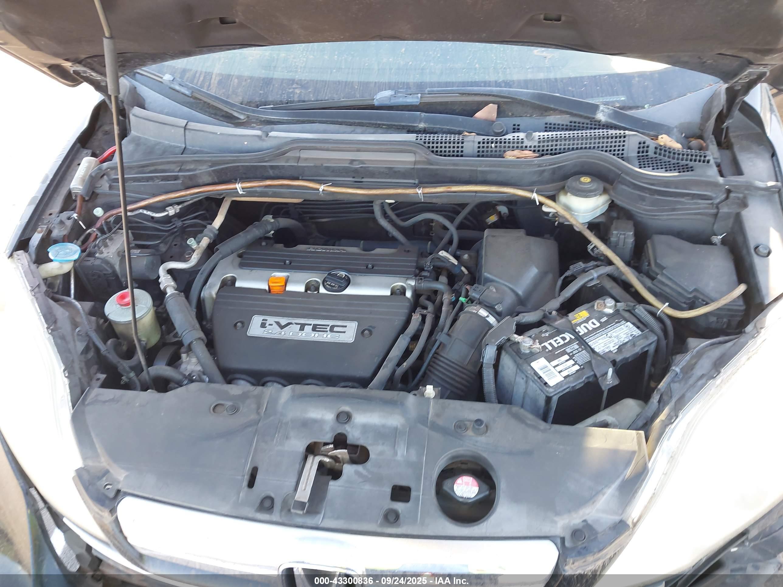HONDA CR-V image 10