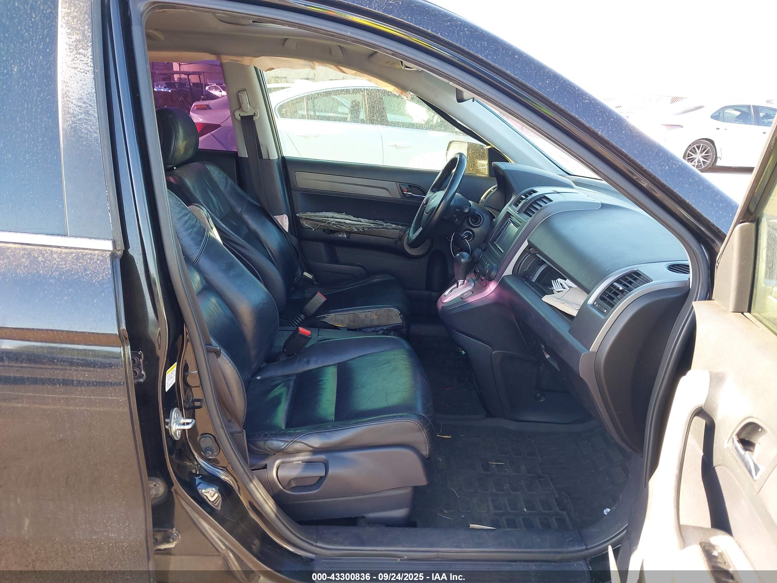 HONDA CR-V image 5