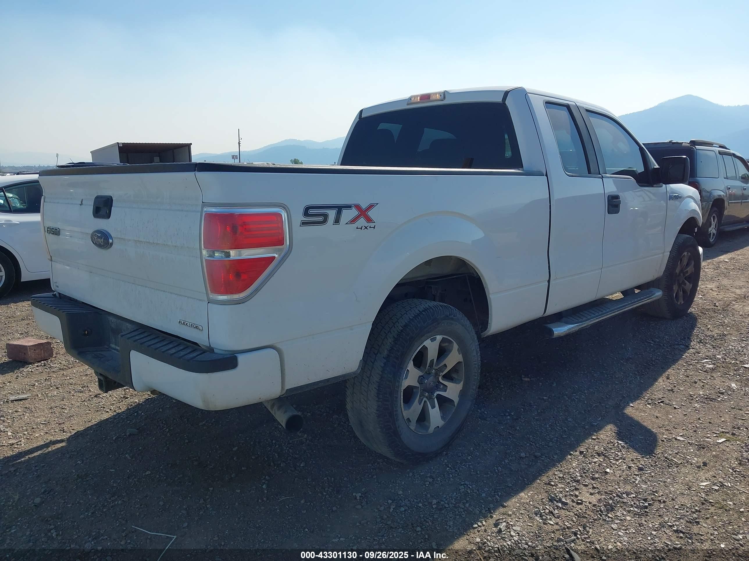 FORD F-150 image 4