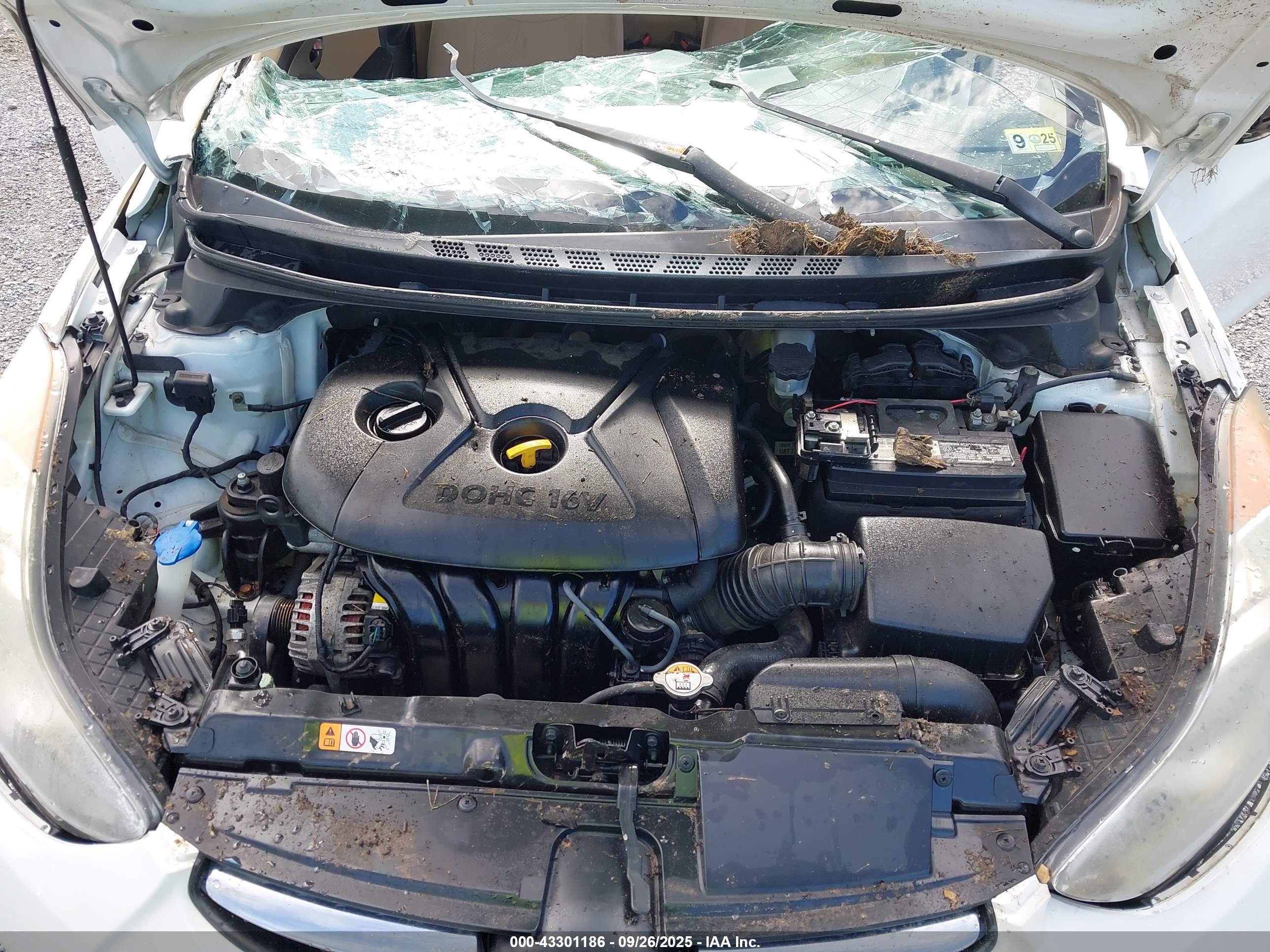 HYUNDAI ELANTRA image 10