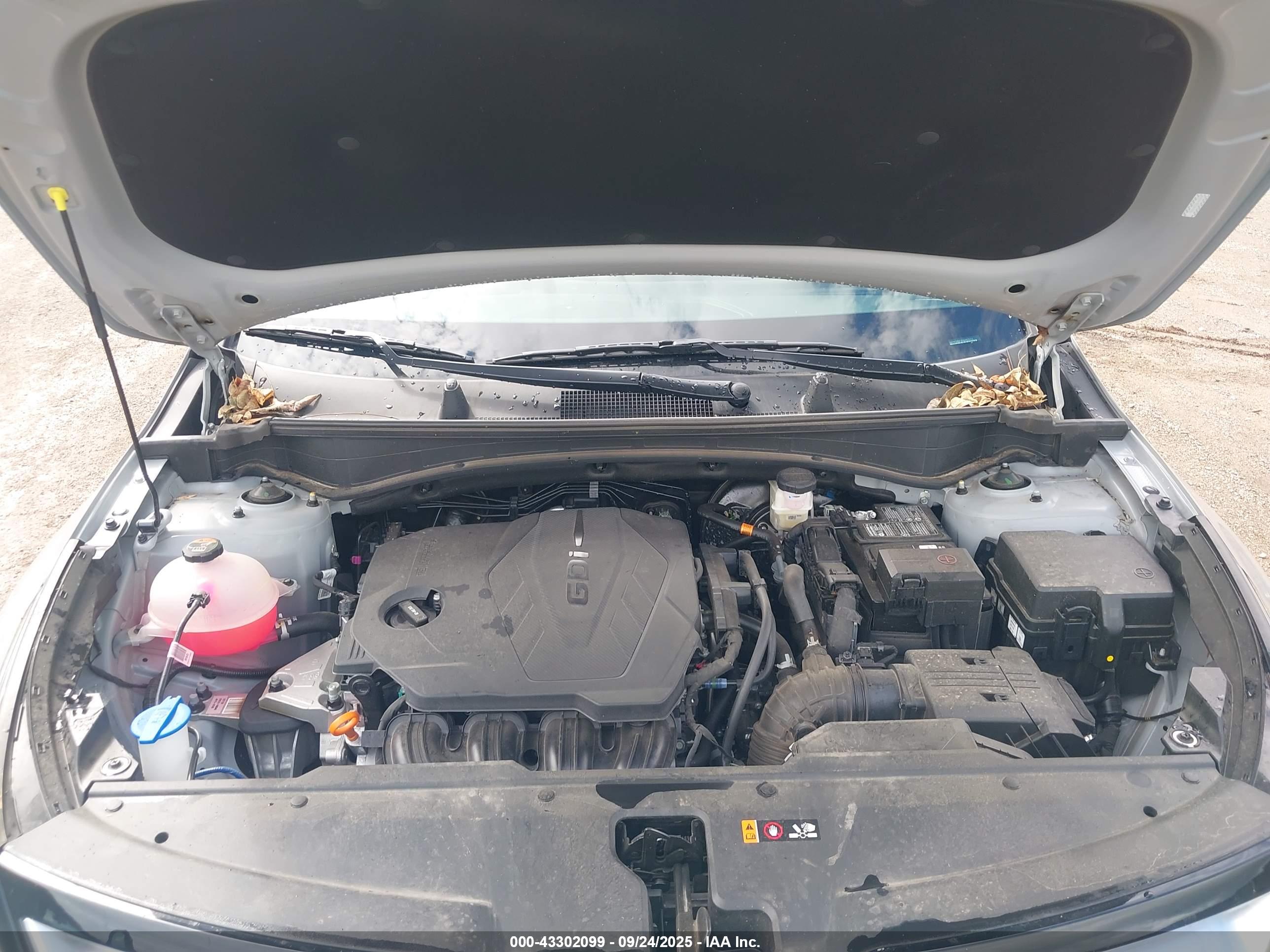 KIA SPORTAGE image 10