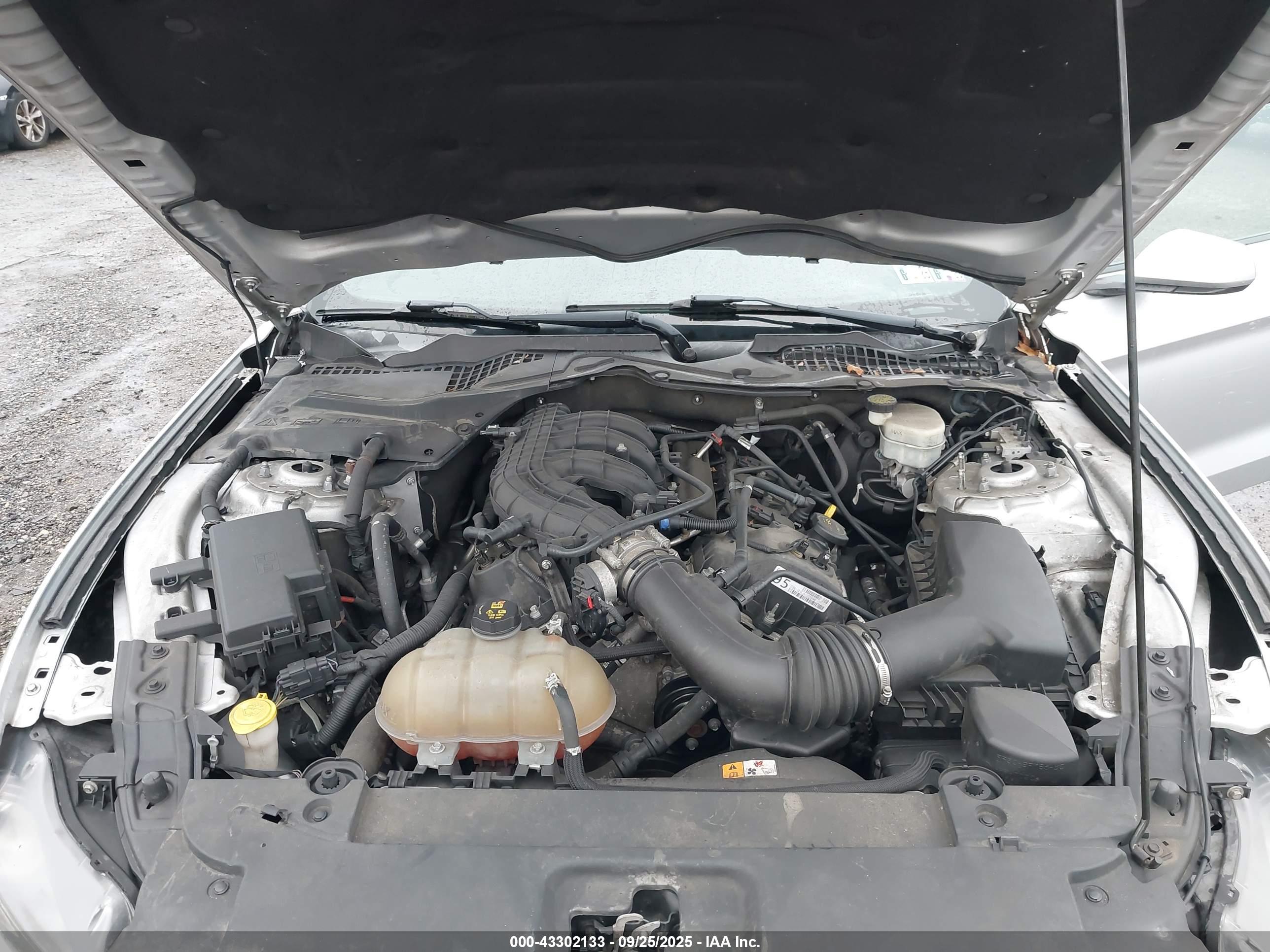 FORD MUSTANG image 10