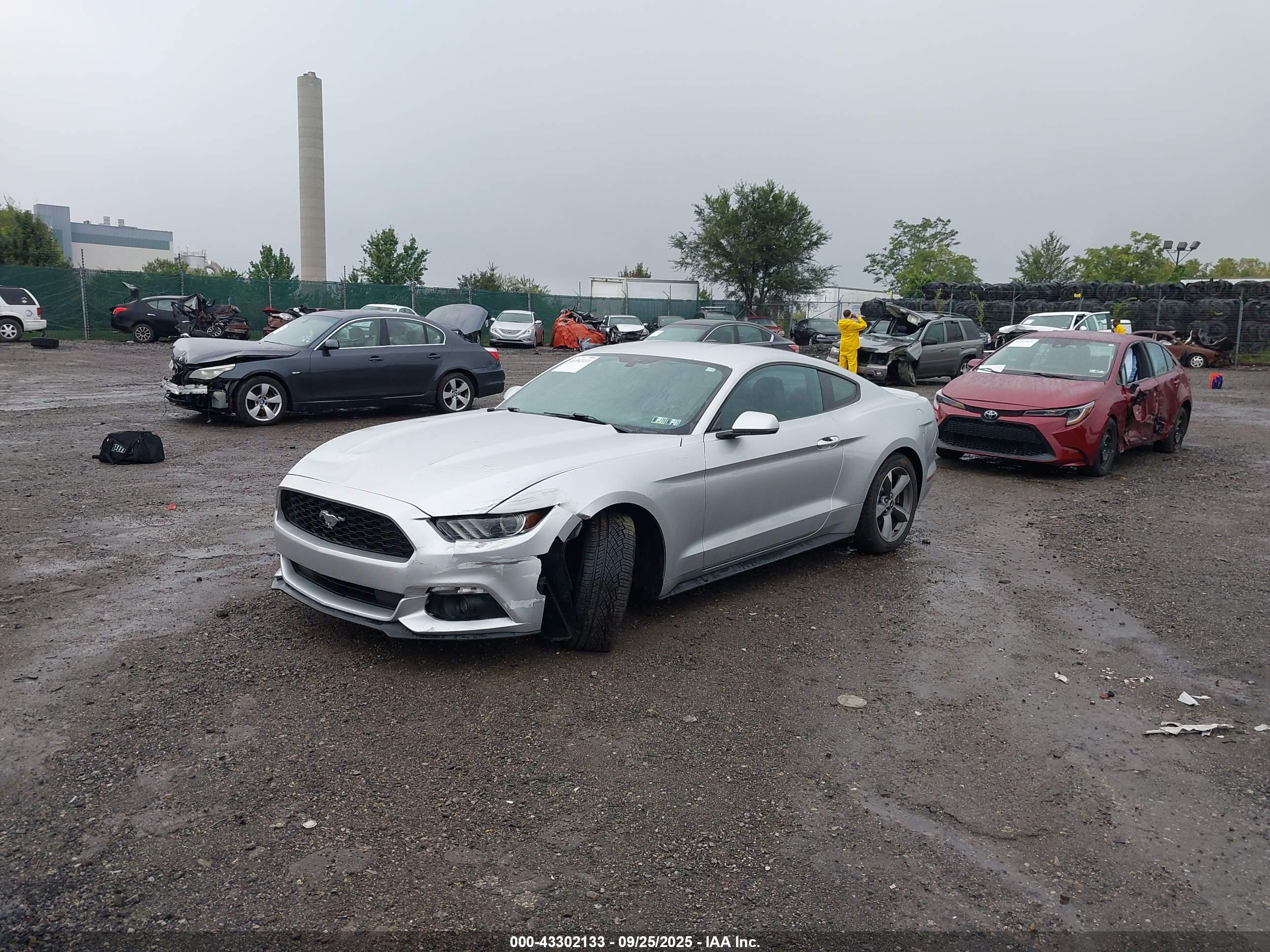 FORD MUSTANG image 2