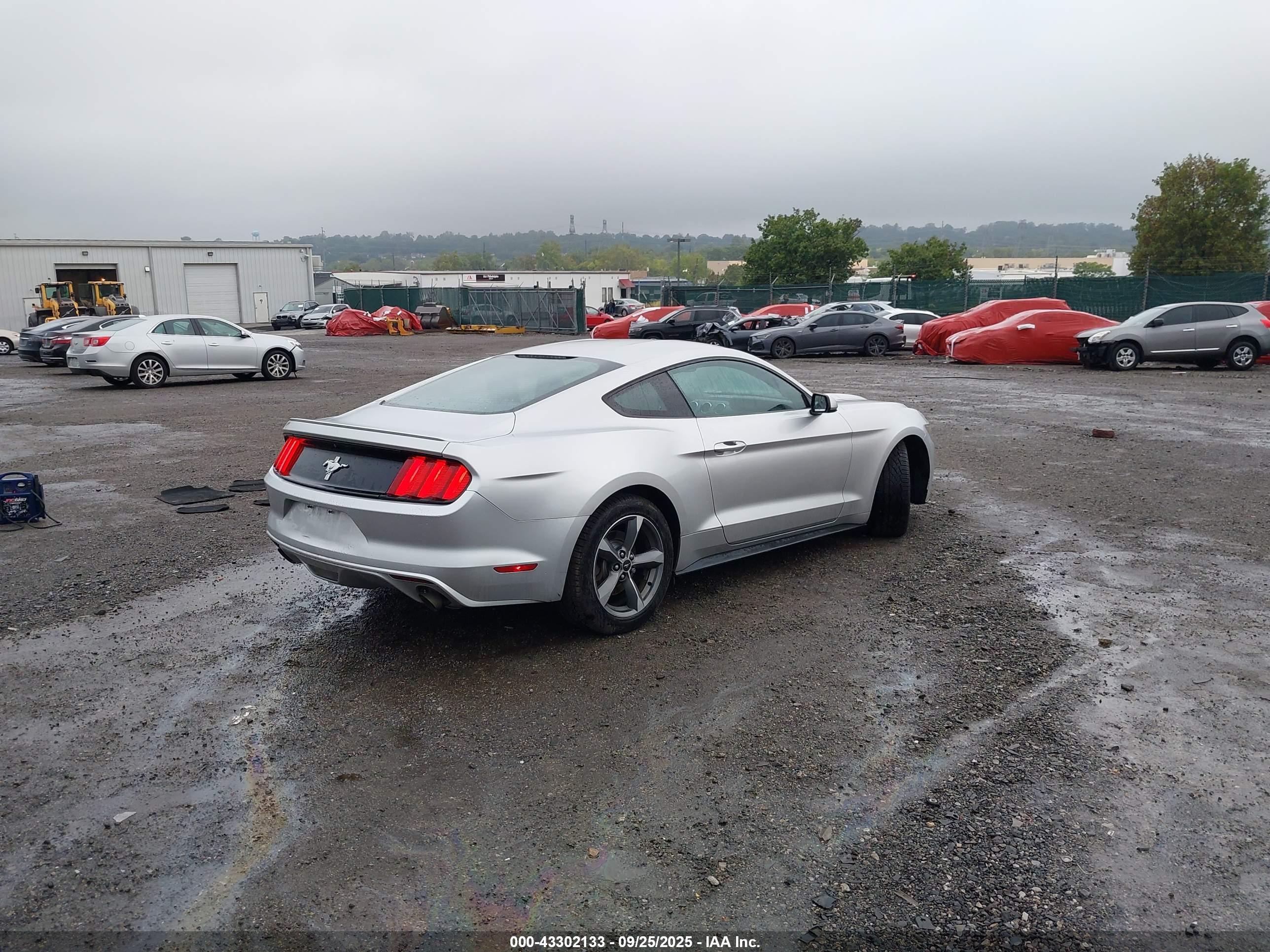 FORD MUSTANG image 4
