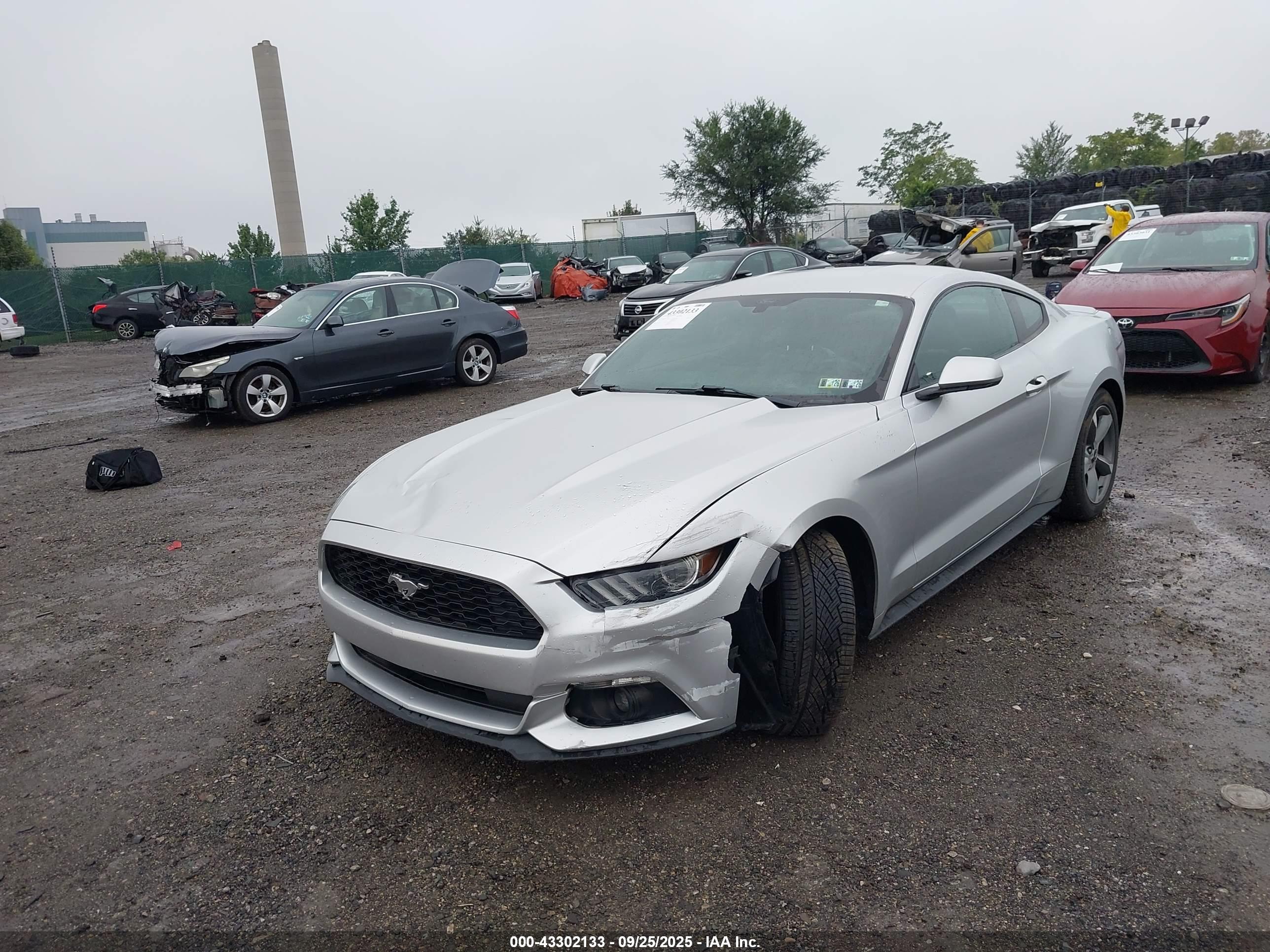 FORD MUSTANG image 6