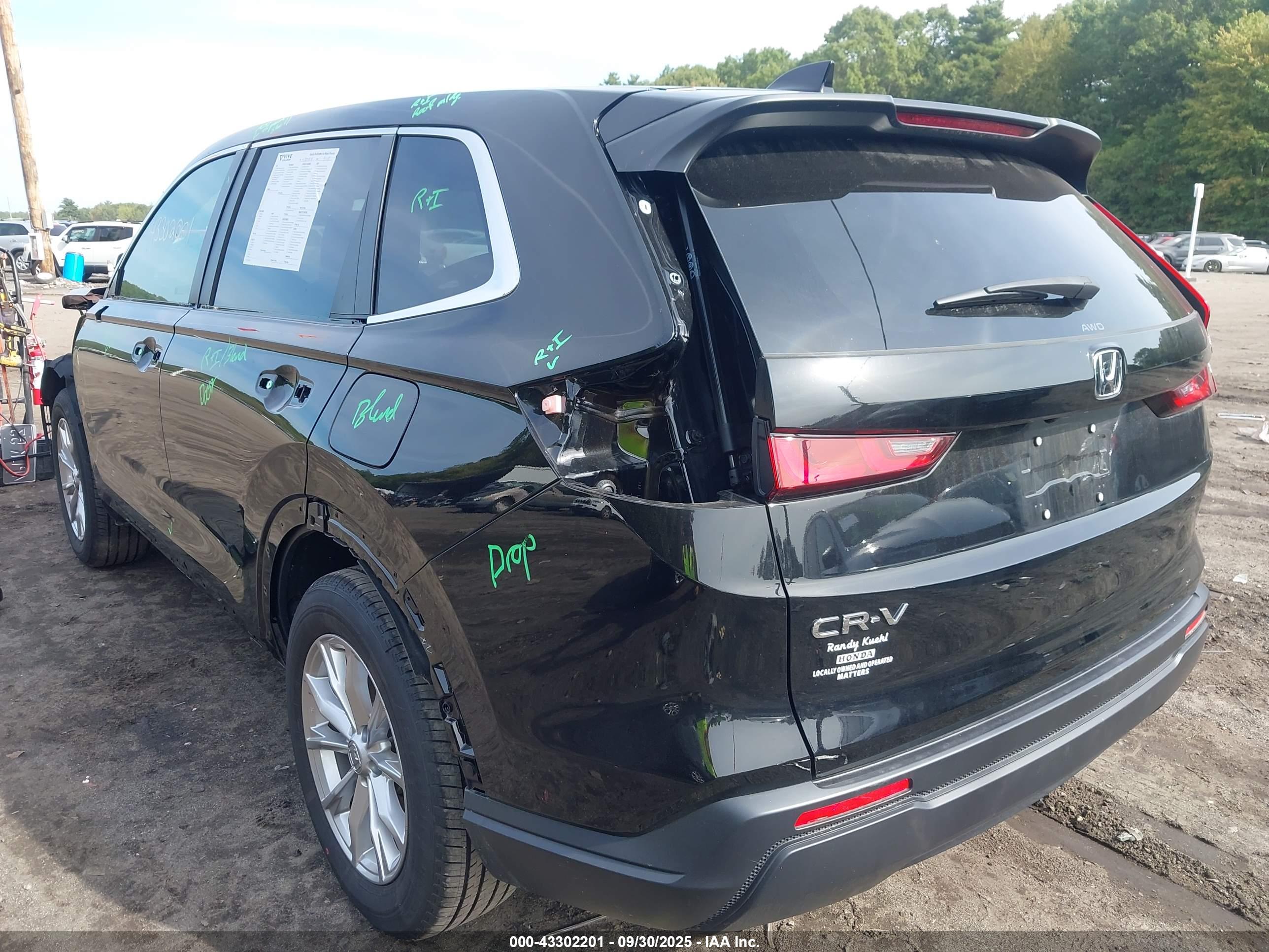 HONDA CR-V image 3