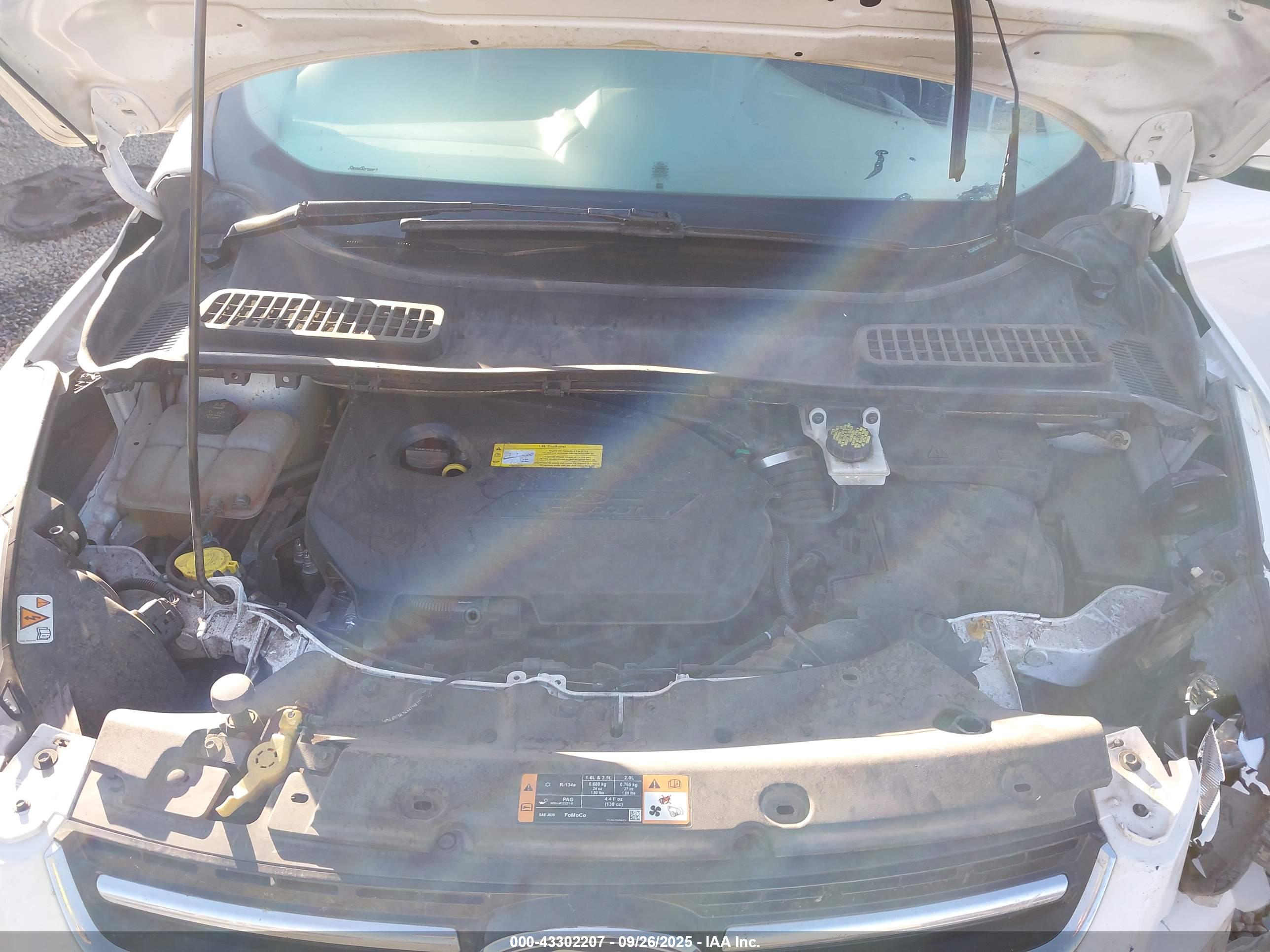 FORD ESCAPE image 10