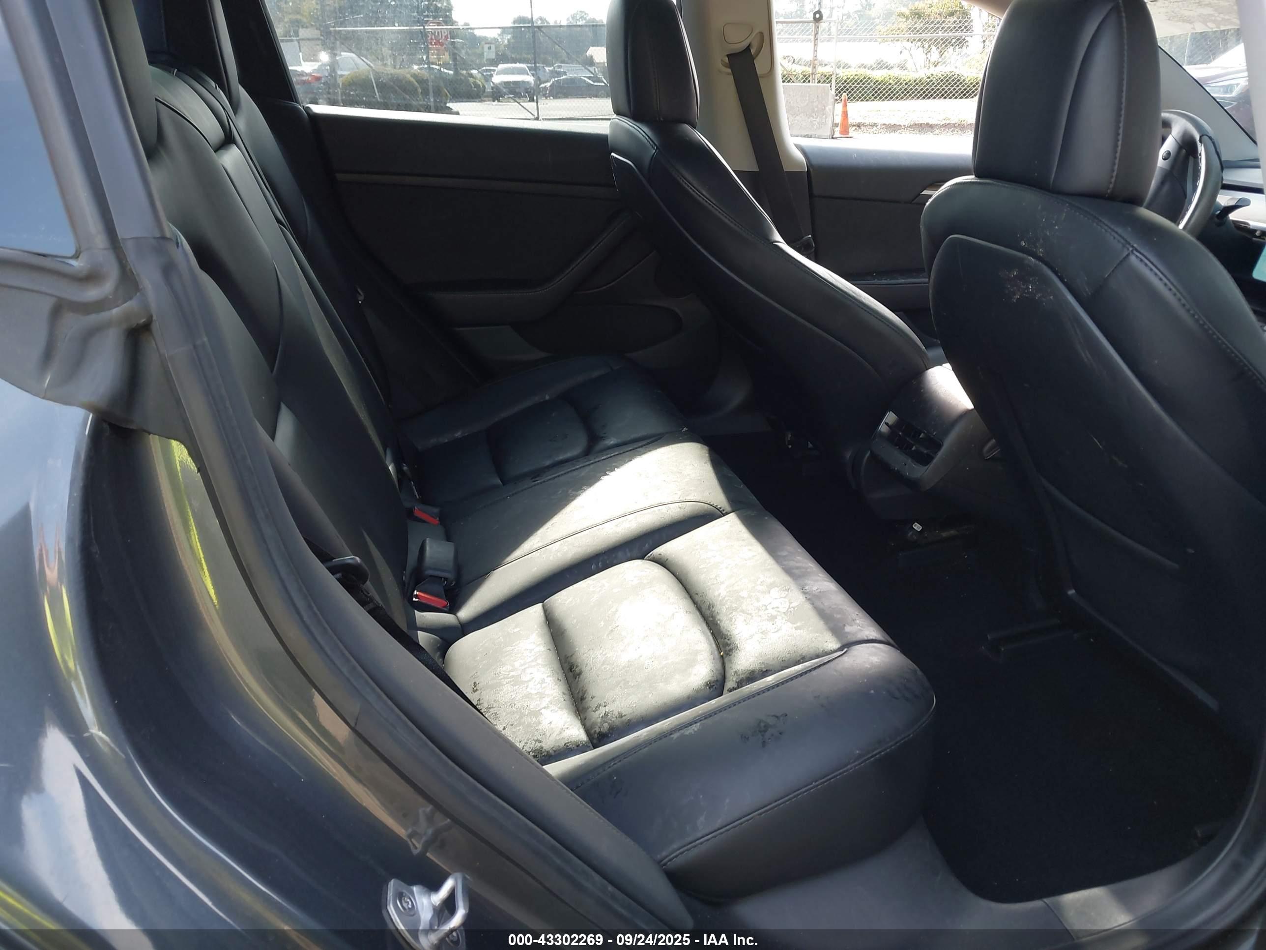 TESLA MODEL image 8