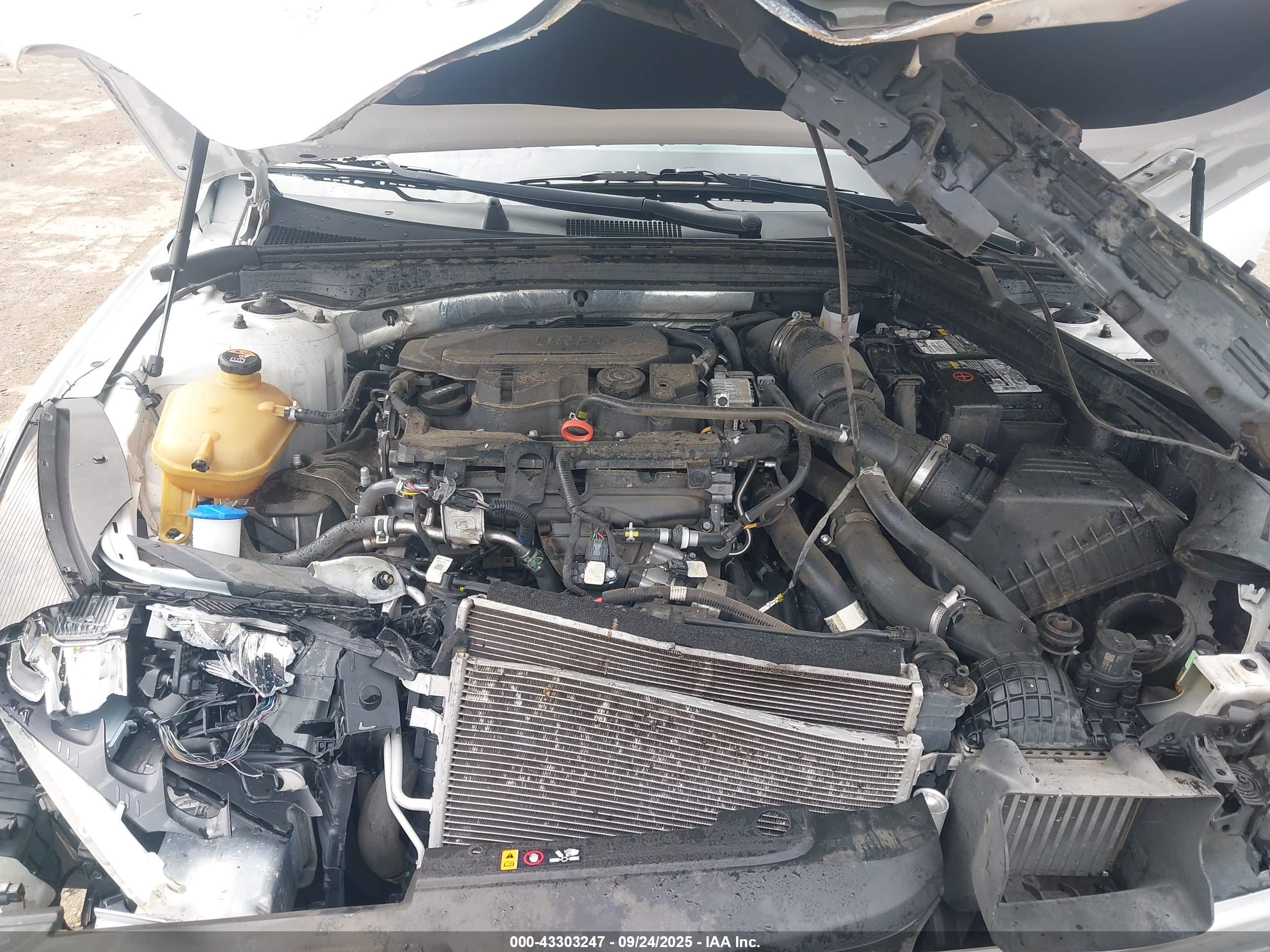 KIA K5 image 10