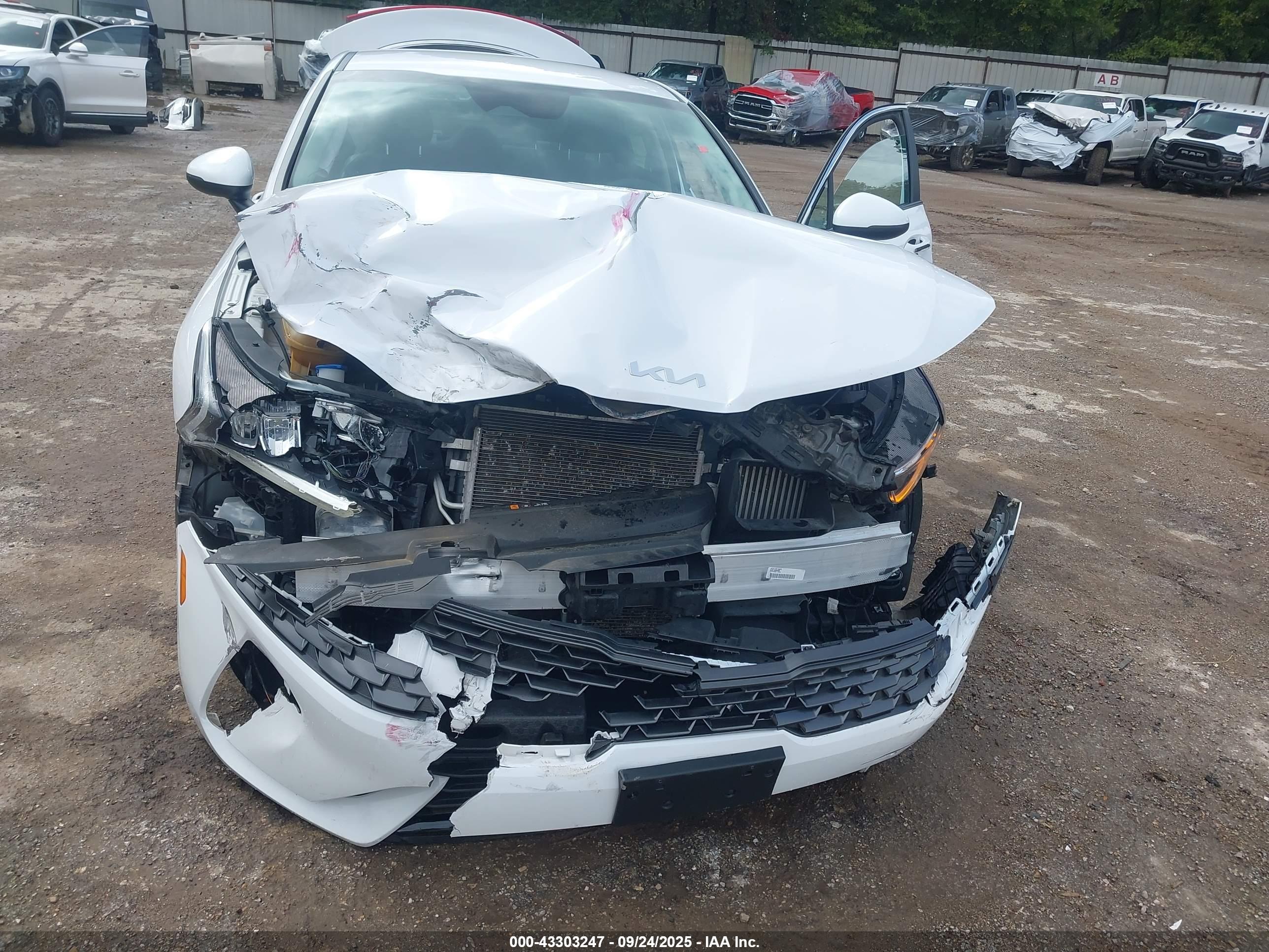 KIA K5 image 6