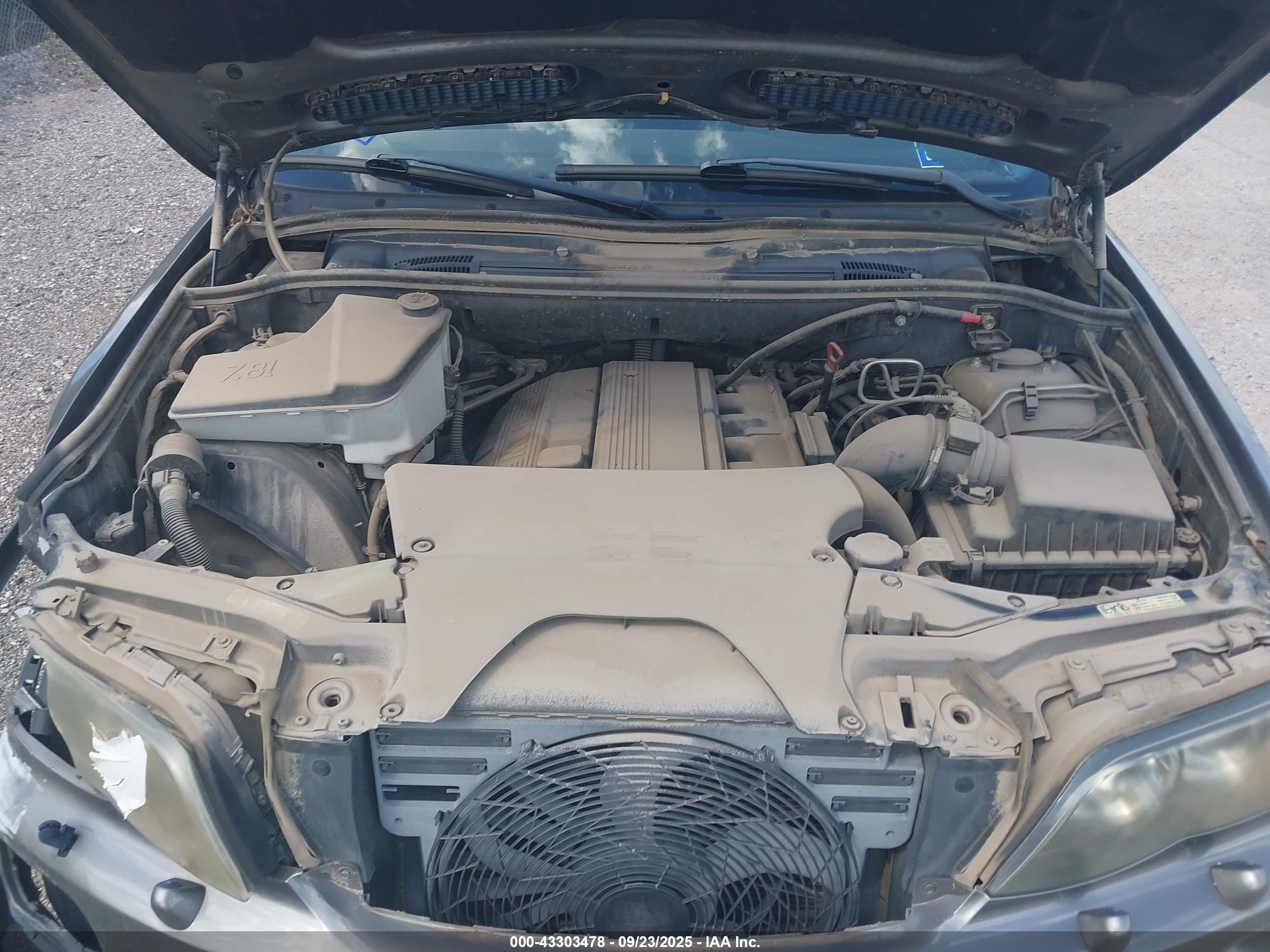 BMW X5 image 10