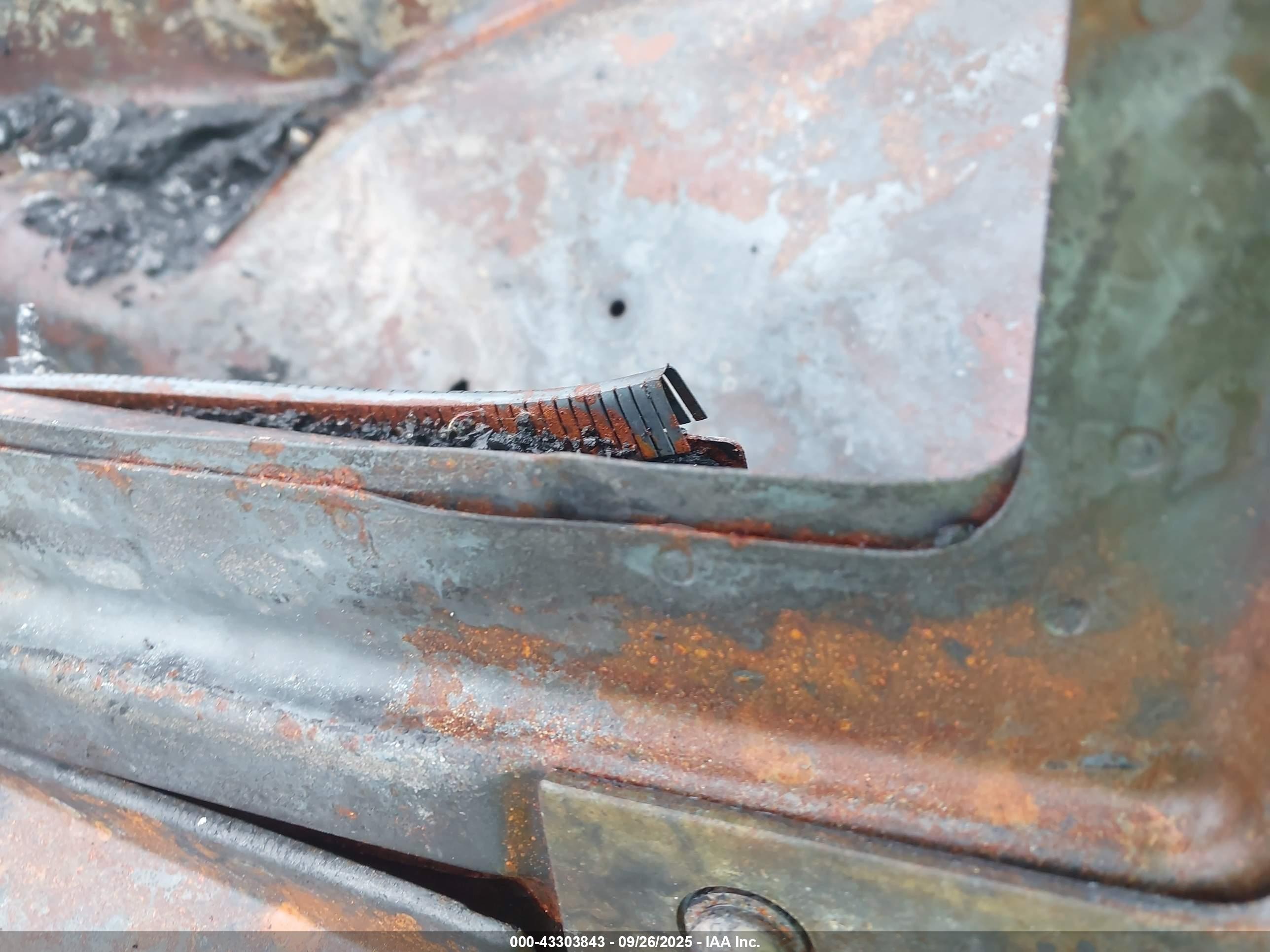 JEEP WRANGLER image 9