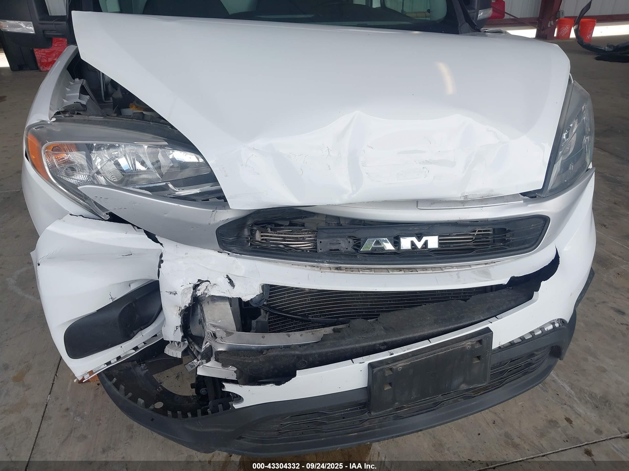 RAM PROMASTER image 6