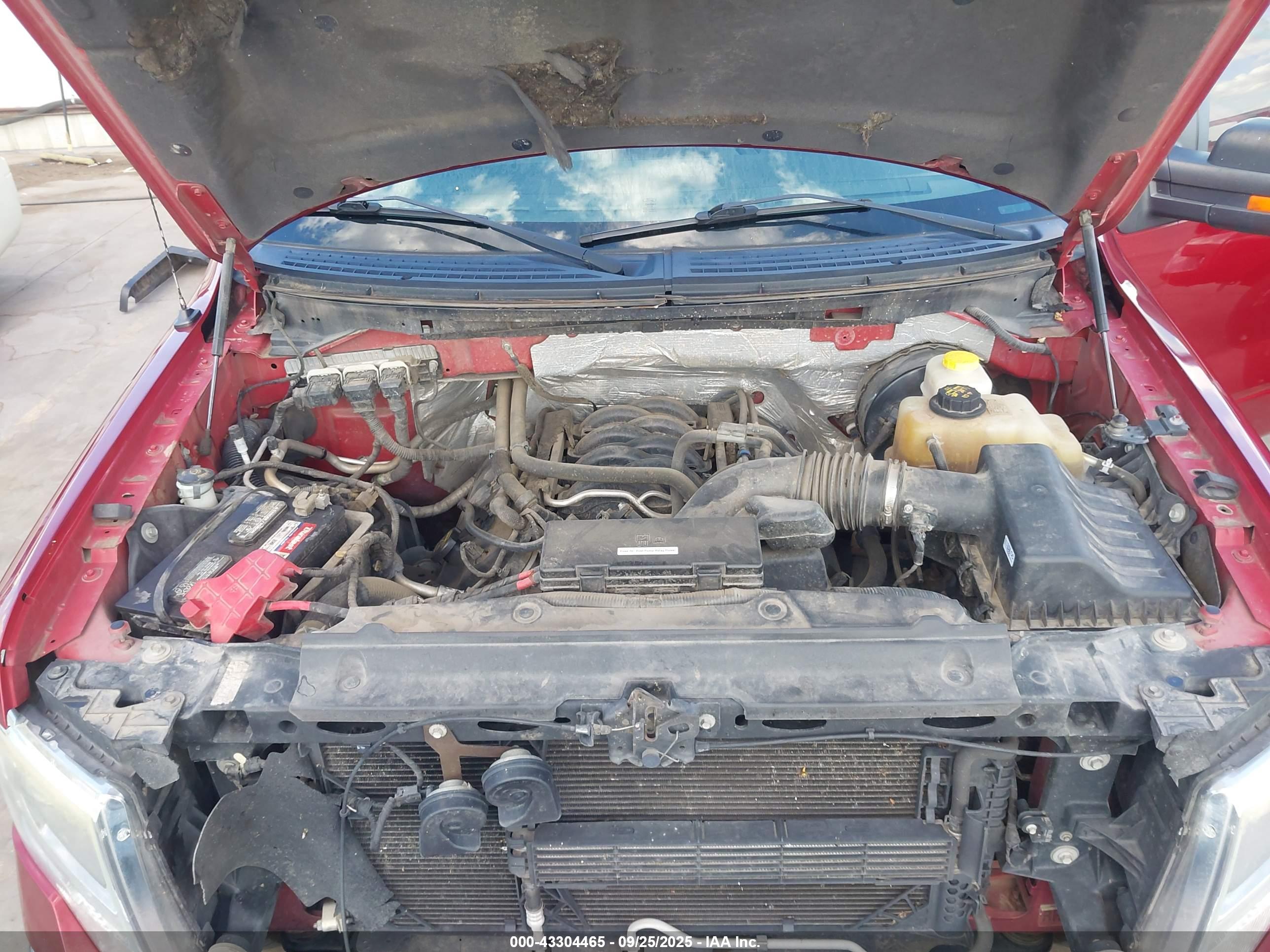 FORD F-150 image 10