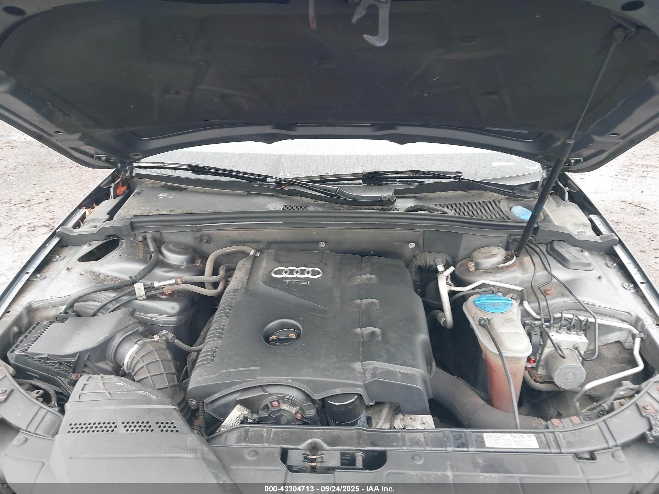 AUDI ALLROAD image 10