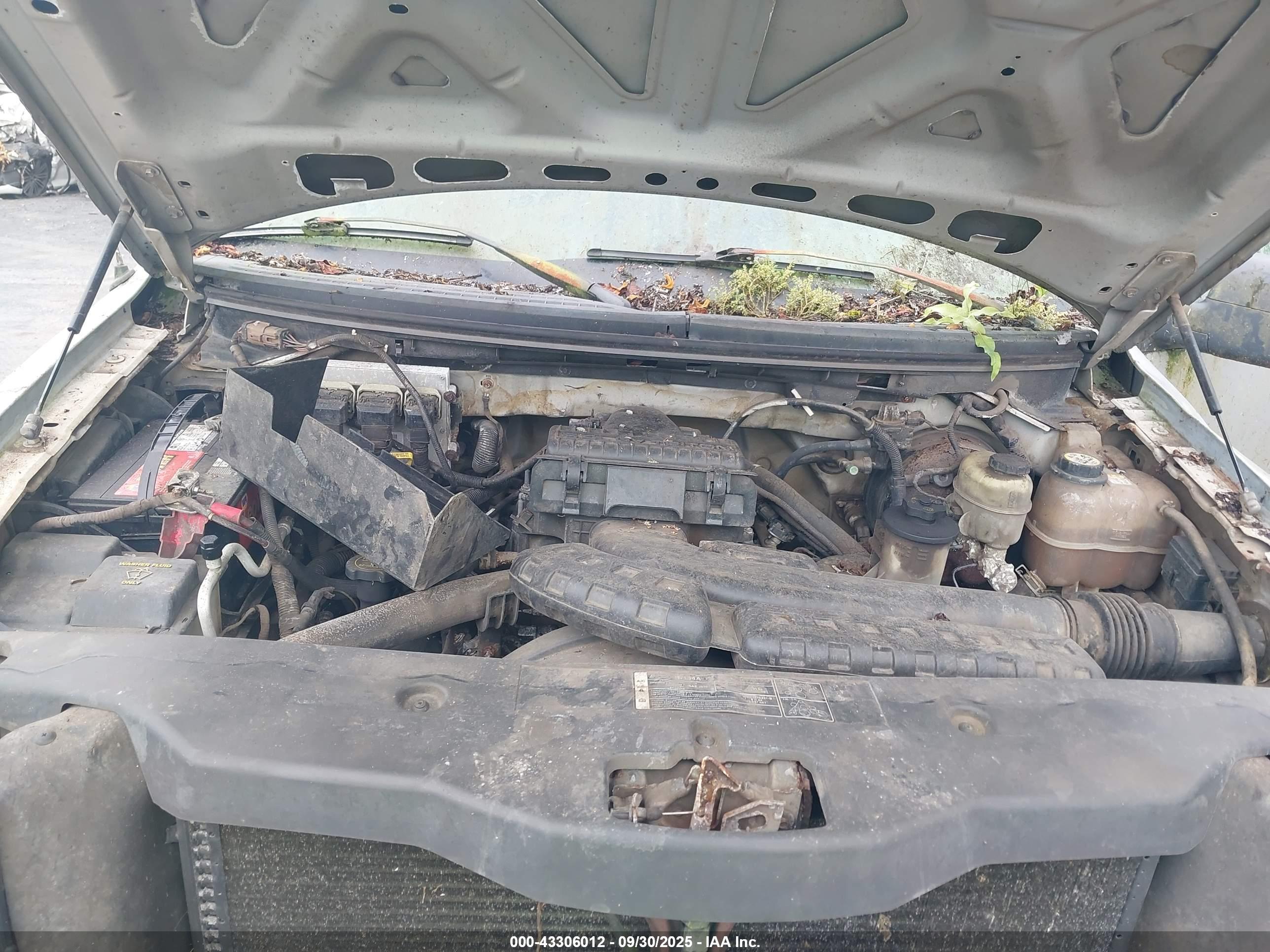 FORD F-150 image 10