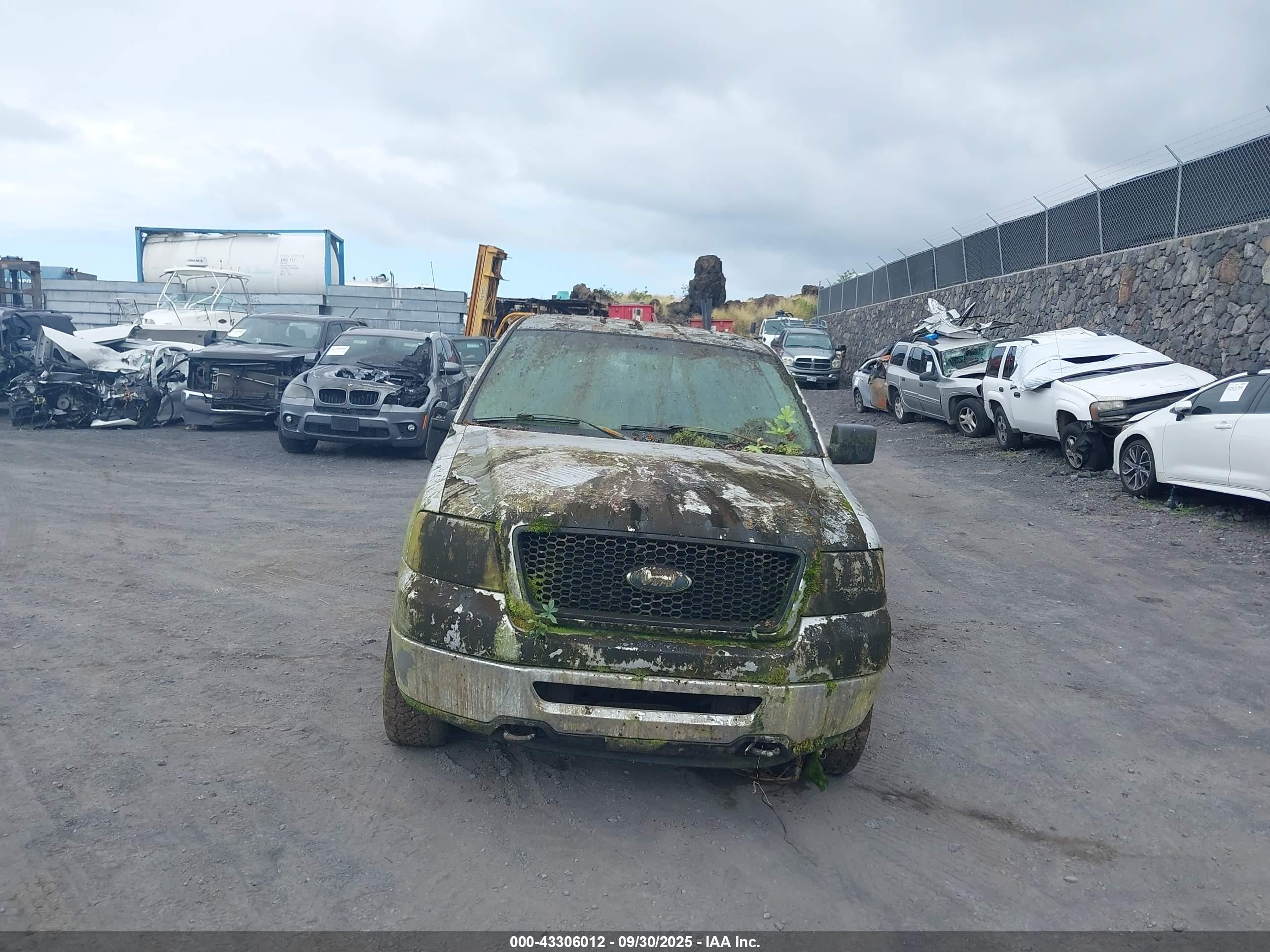 FORD F-150 image 6
