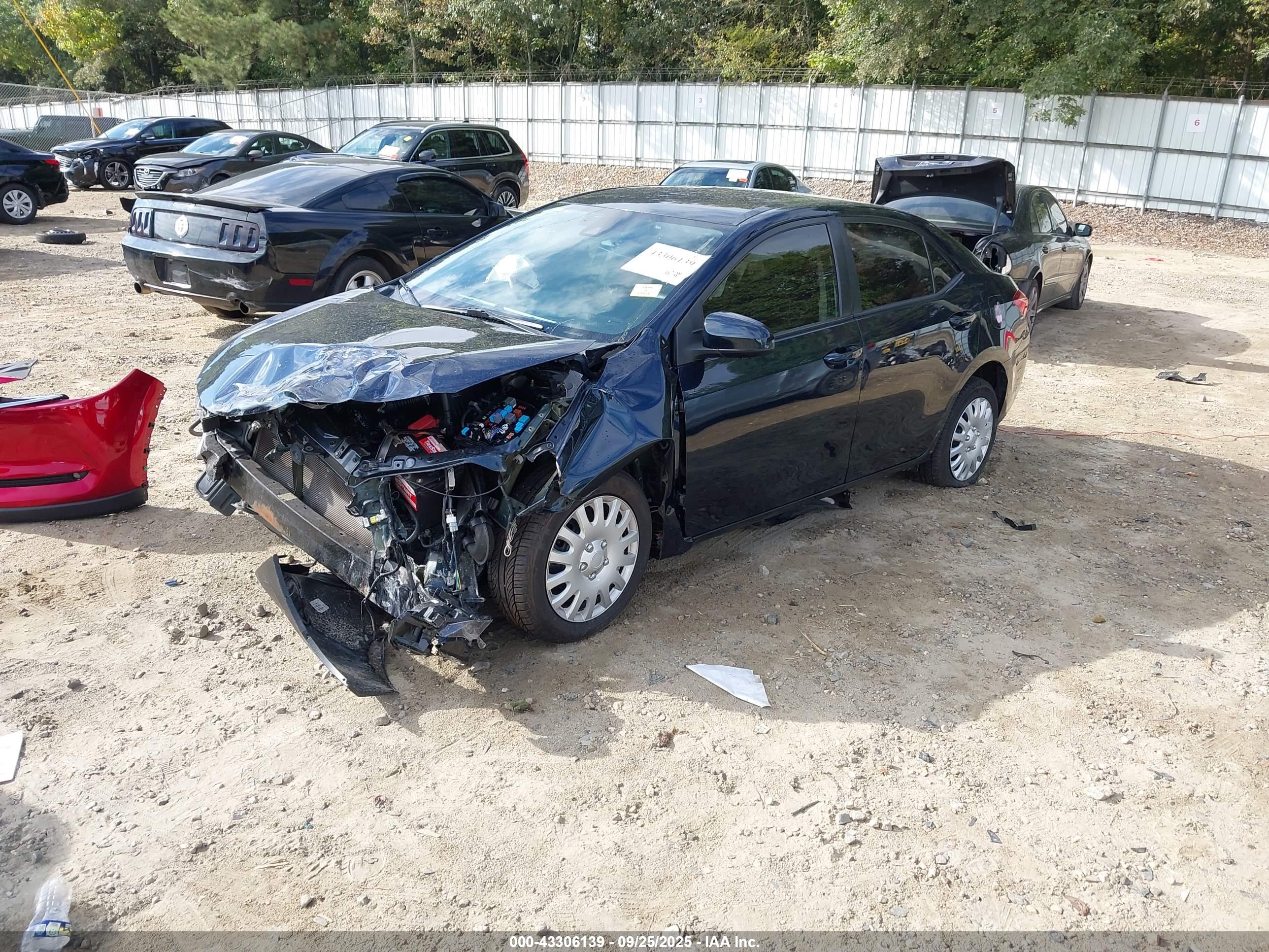 TOYOTA COROLLA image 2