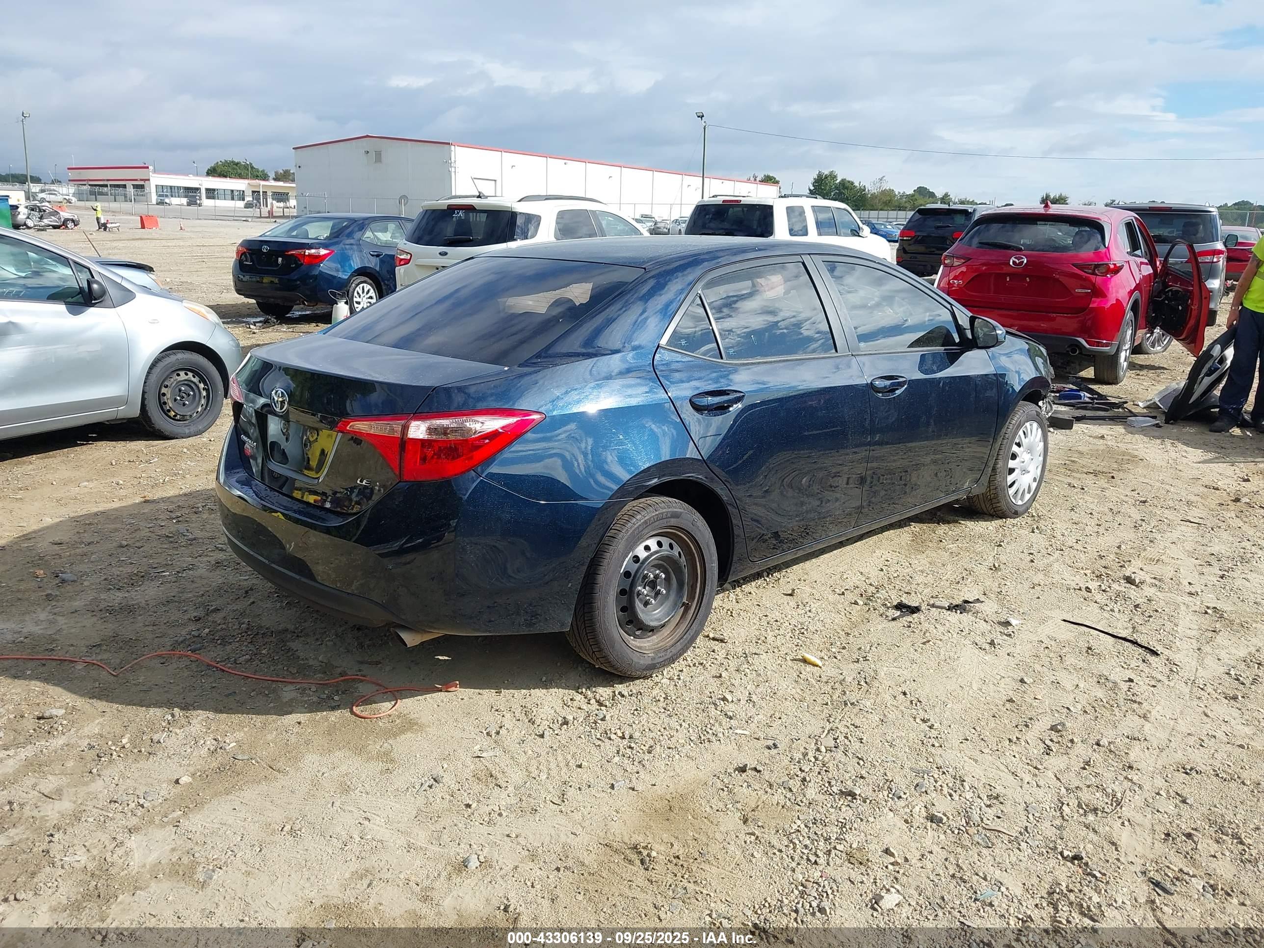 TOYOTA COROLLA image 4