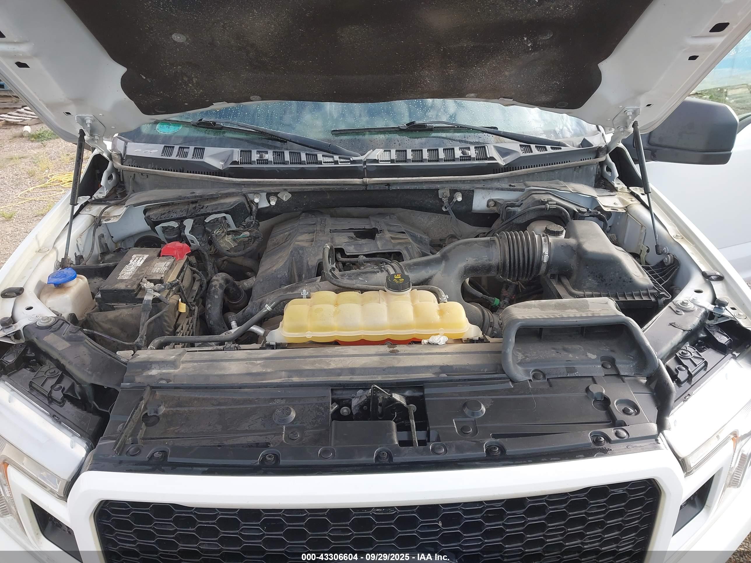 FORD F-150 image 10