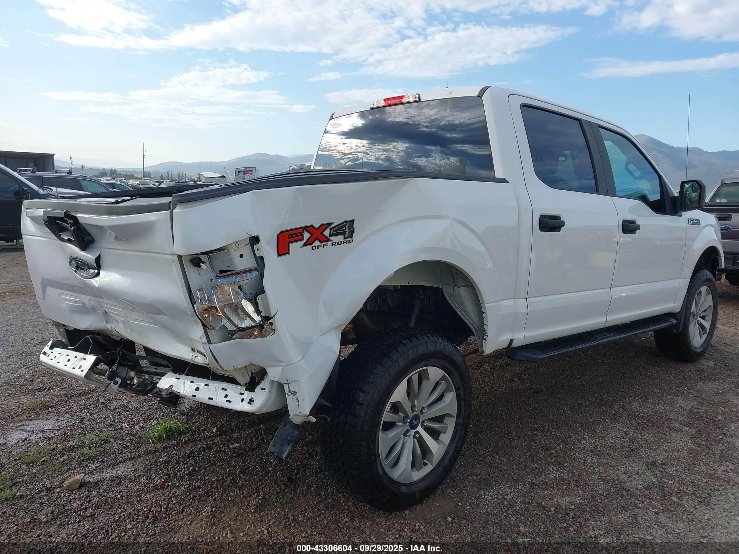 FORD F-150 image 4