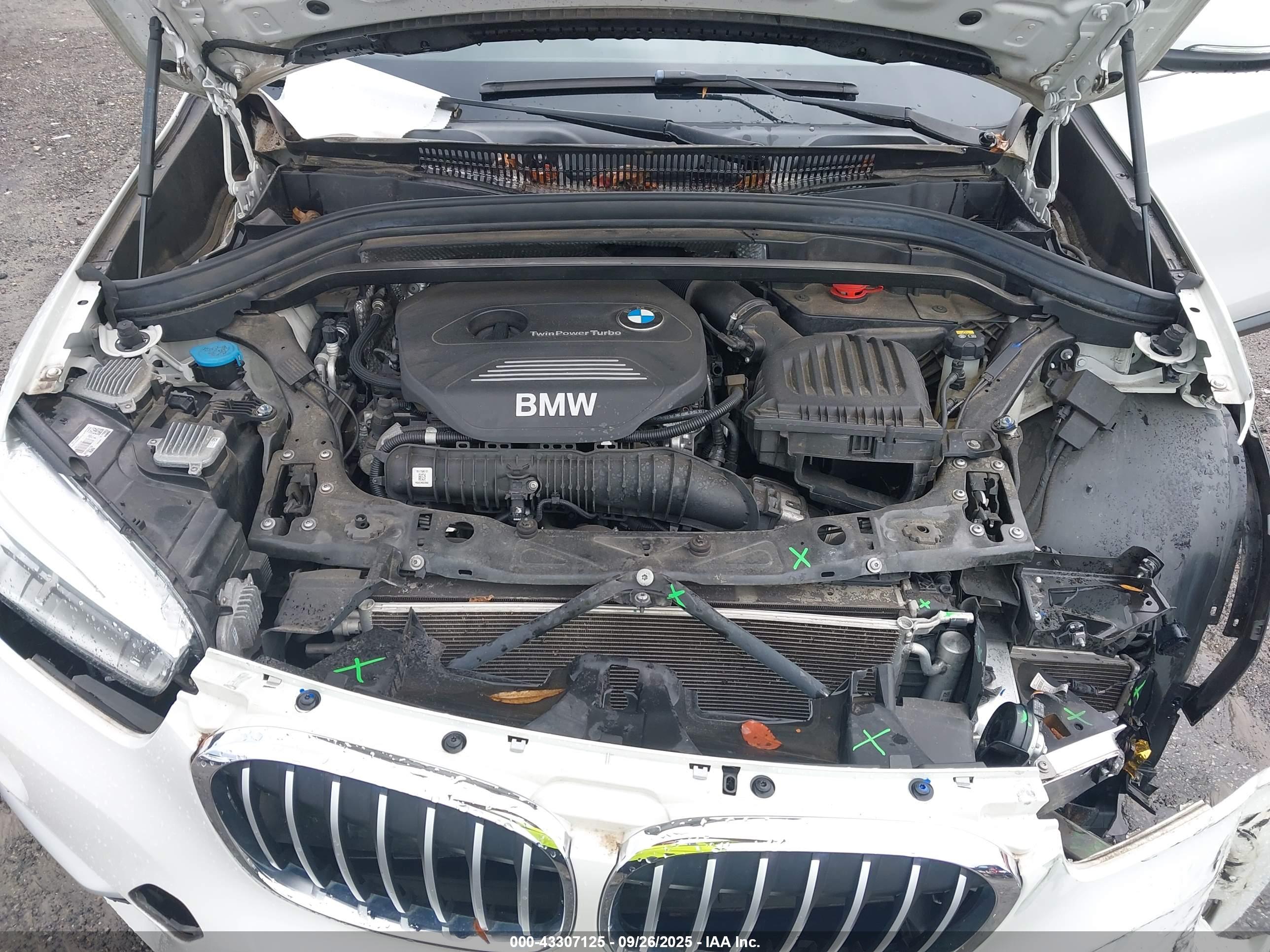BMW X1 image 10