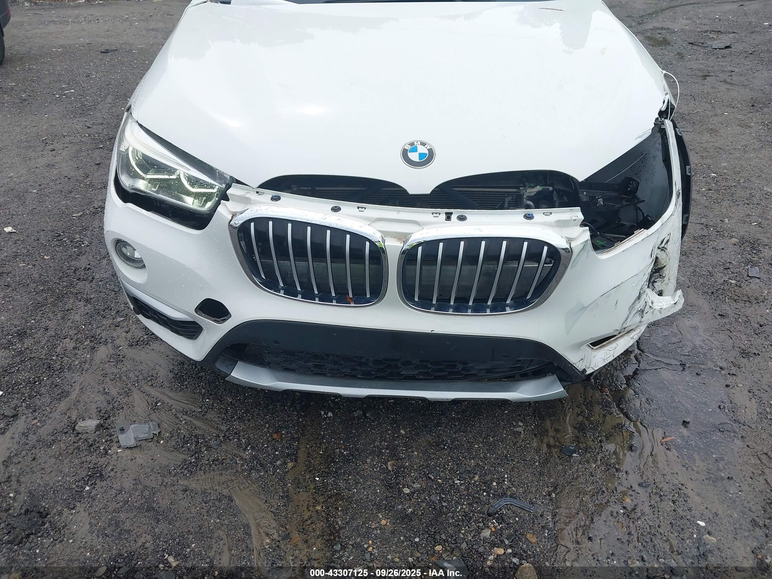 BMW X1 image 6