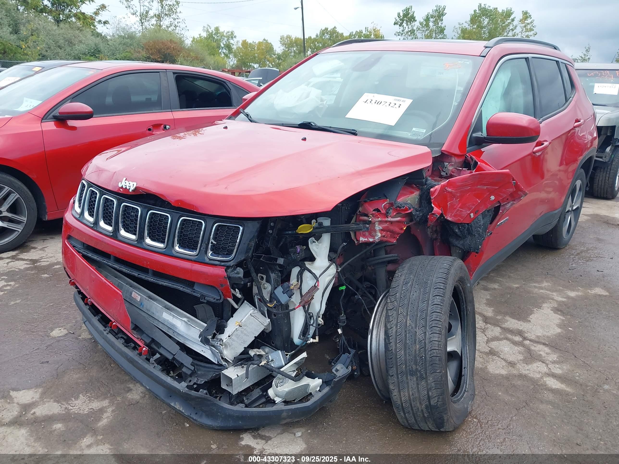 JEEP NEW image 6