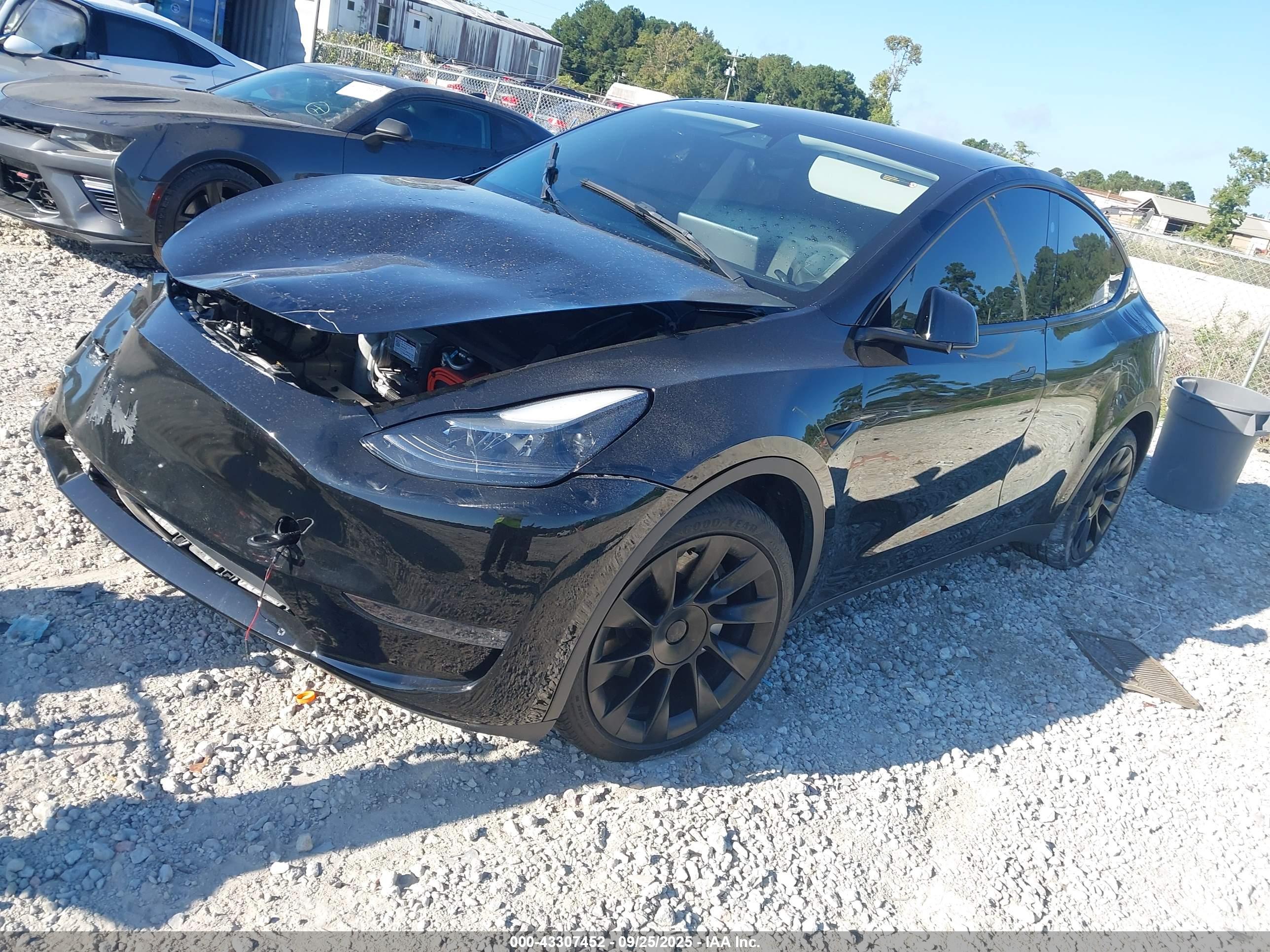 TESLA MODEL image 2