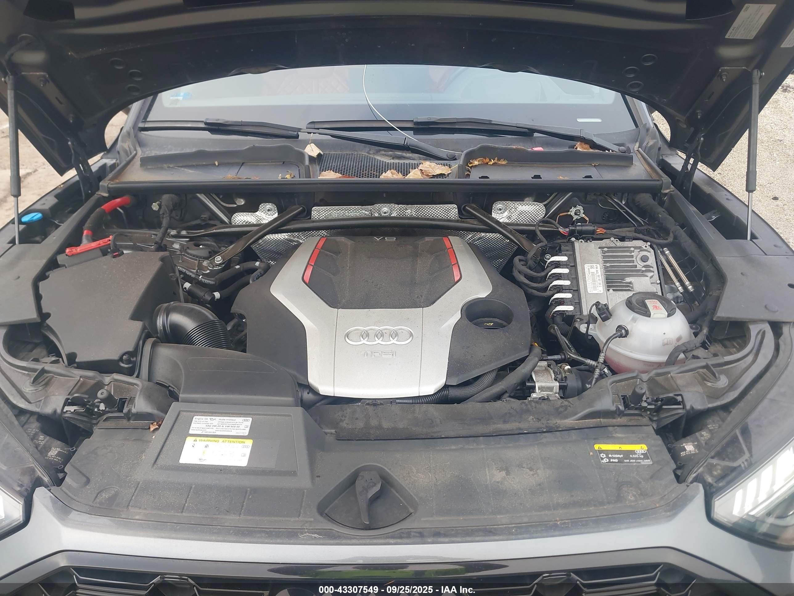 AUDI SQ5 image 10