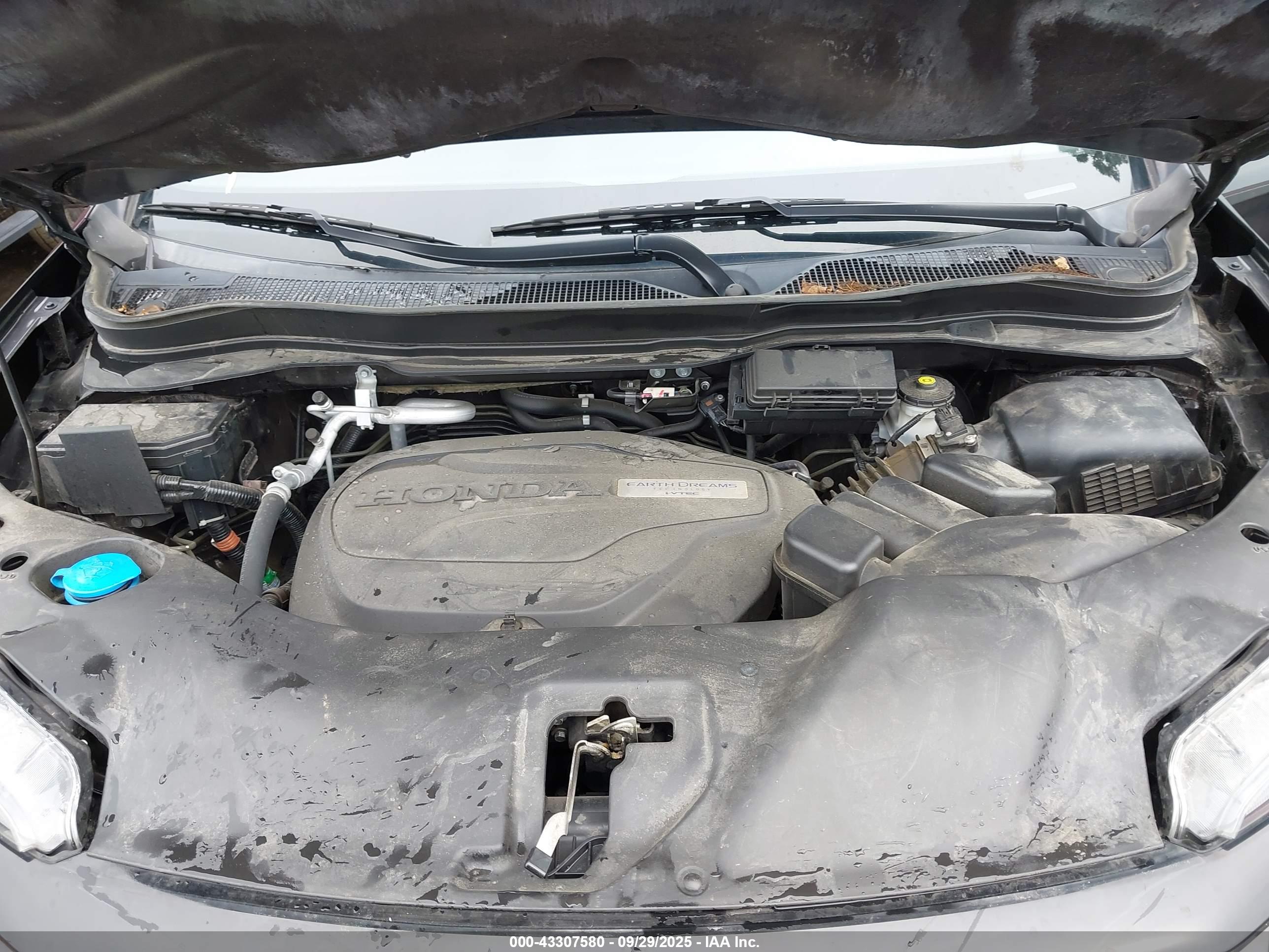 HONDA PASSPORT image 10