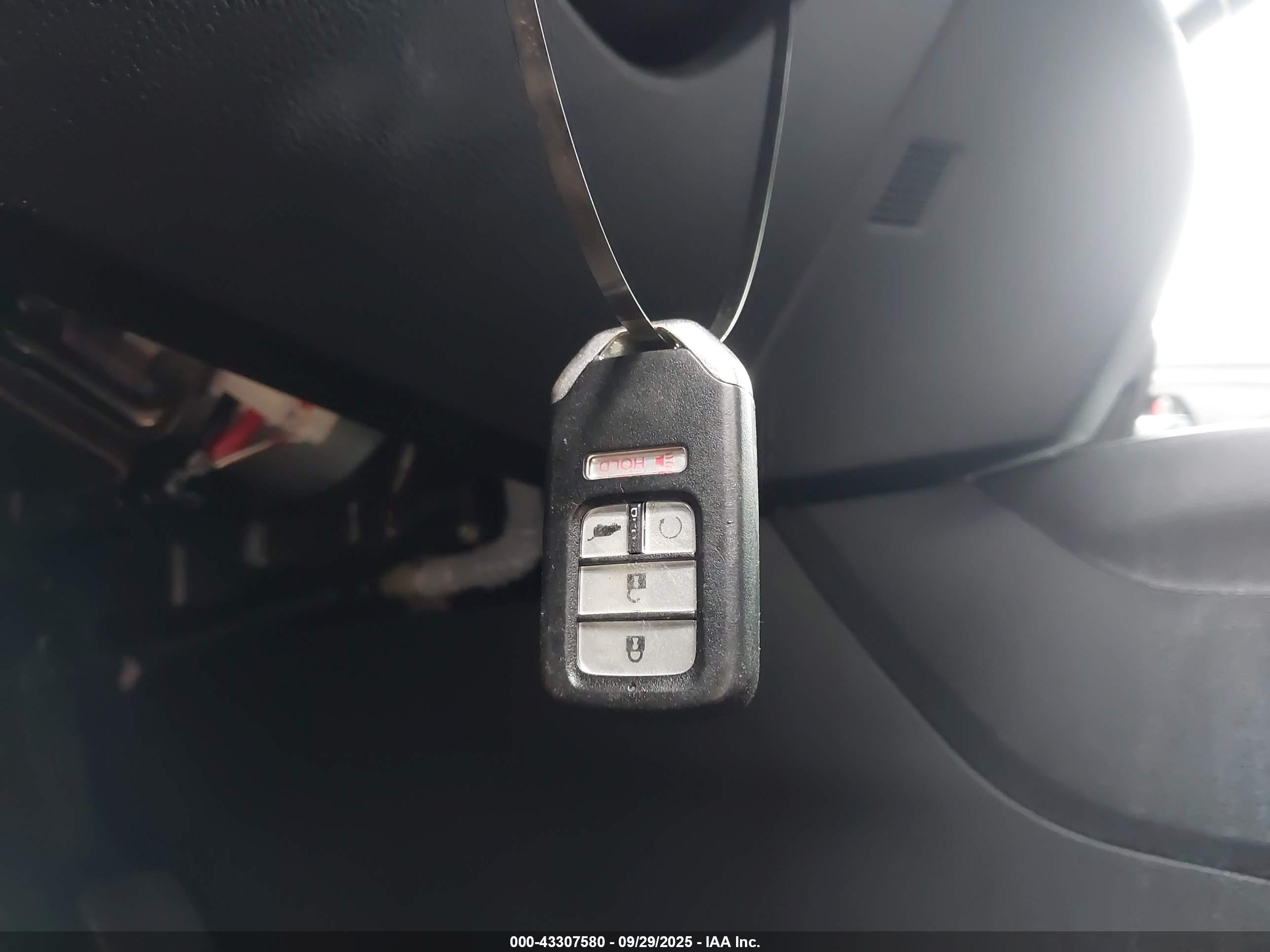 HONDA PASSPORT image 11