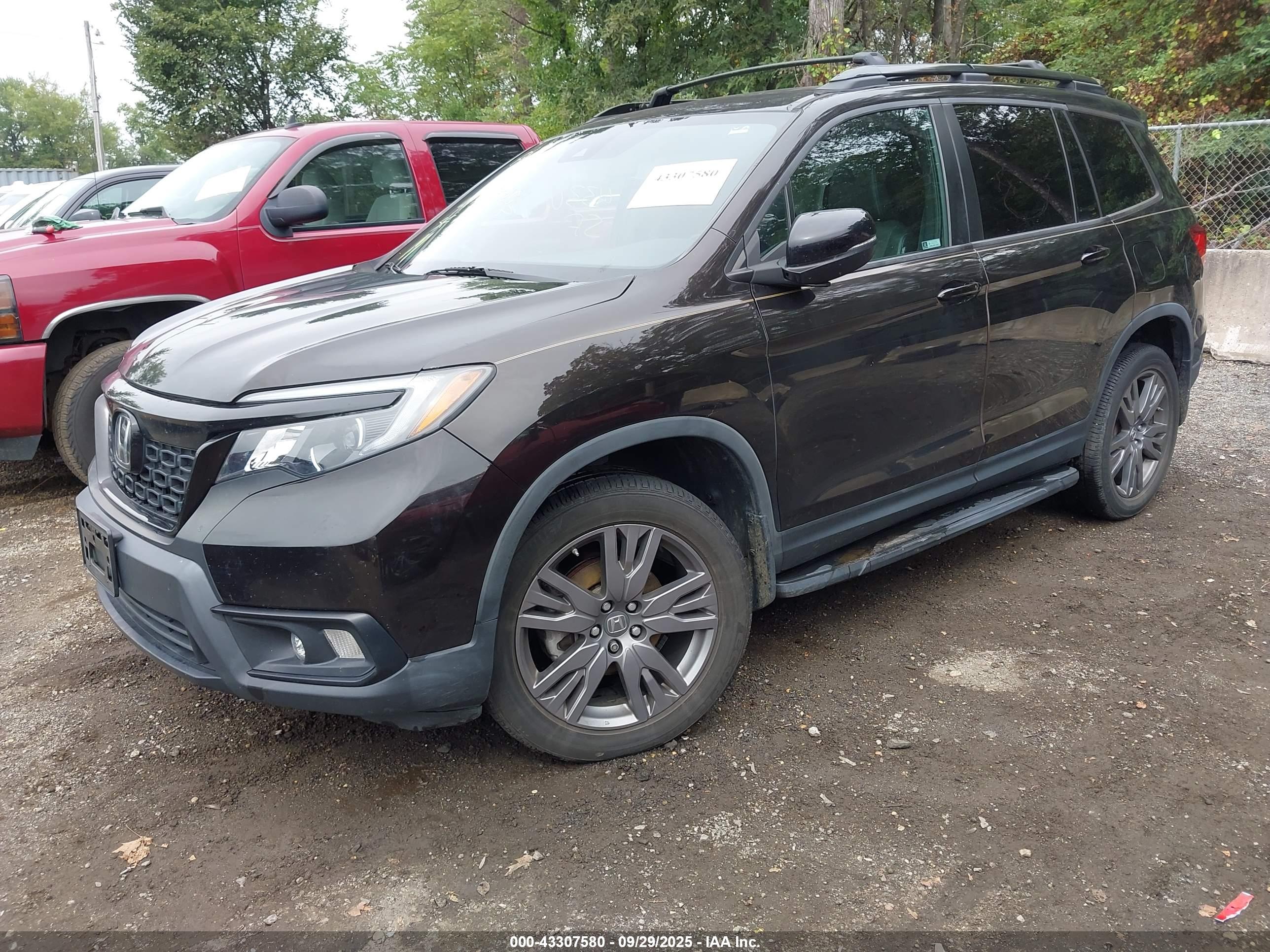 HONDA PASSPORT image 2
