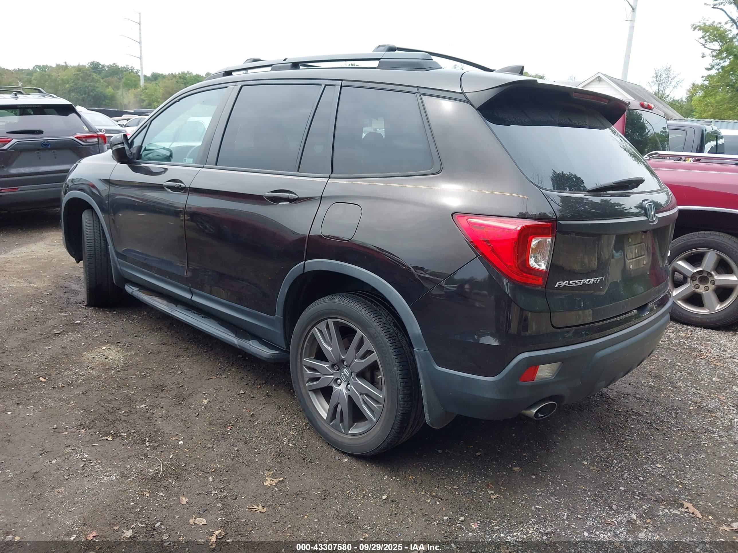 HONDA PASSPORT image 3