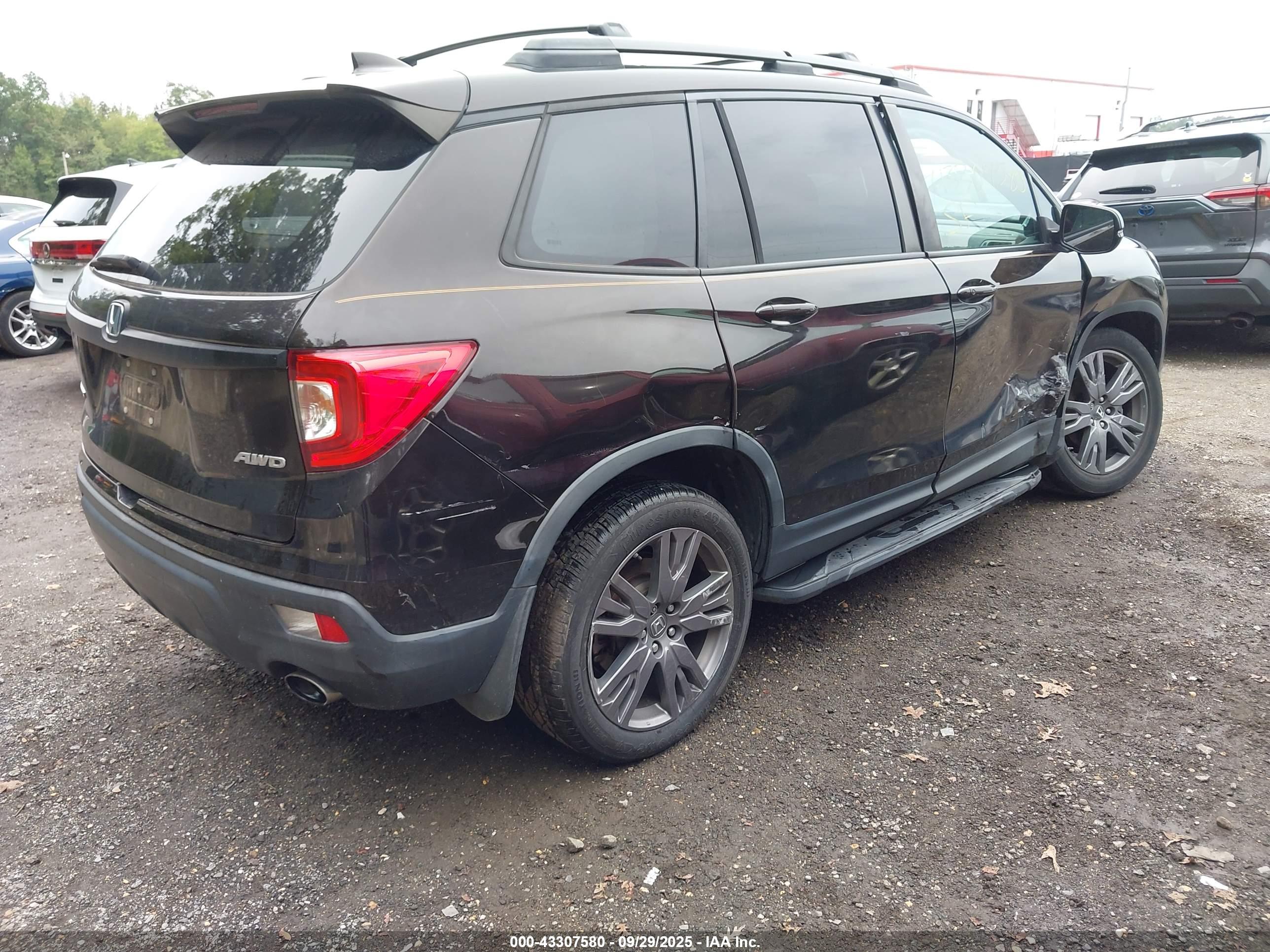 HONDA PASSPORT image 4