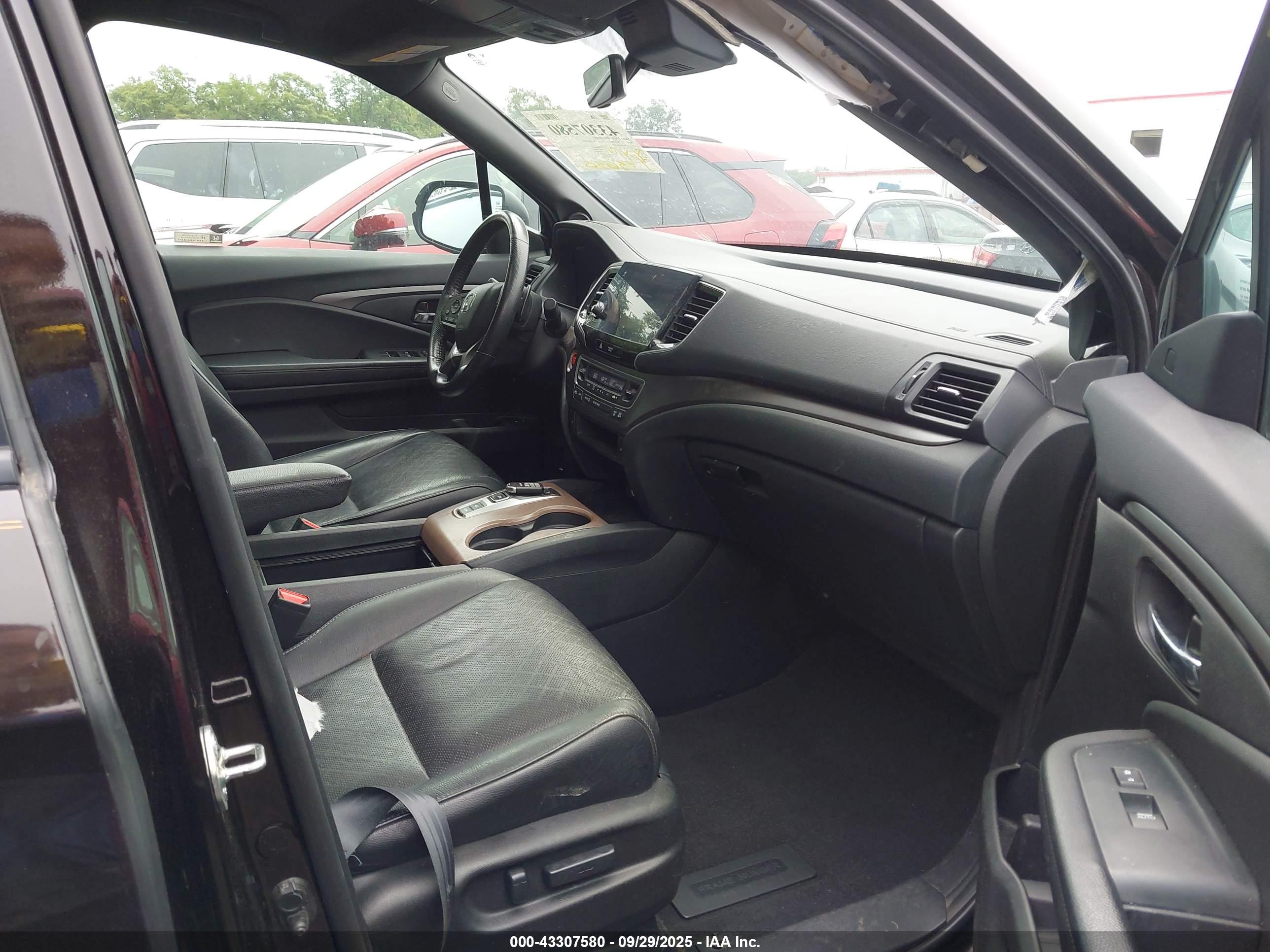 HONDA PASSPORT image 5