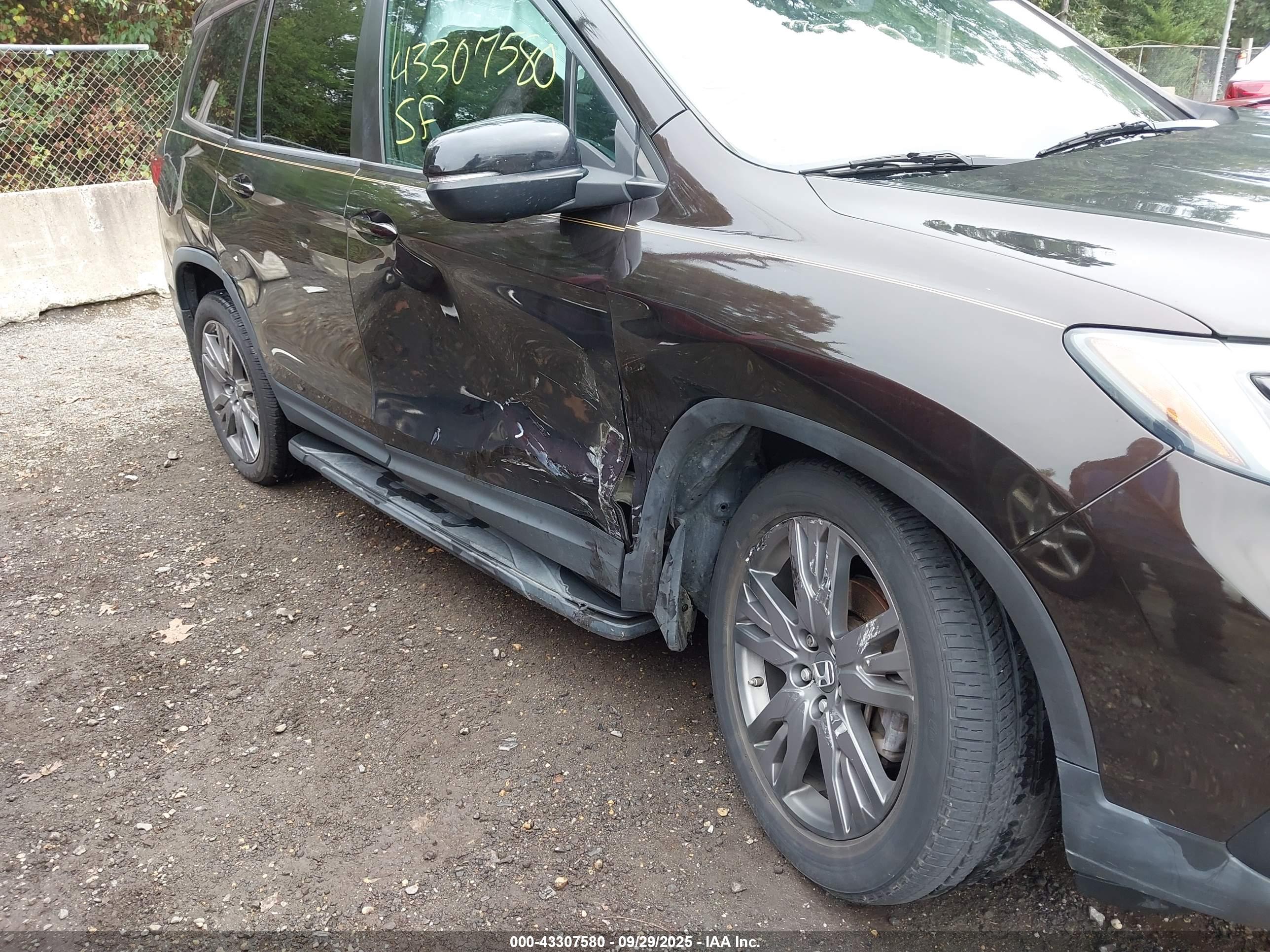 HONDA PASSPORT image 6
