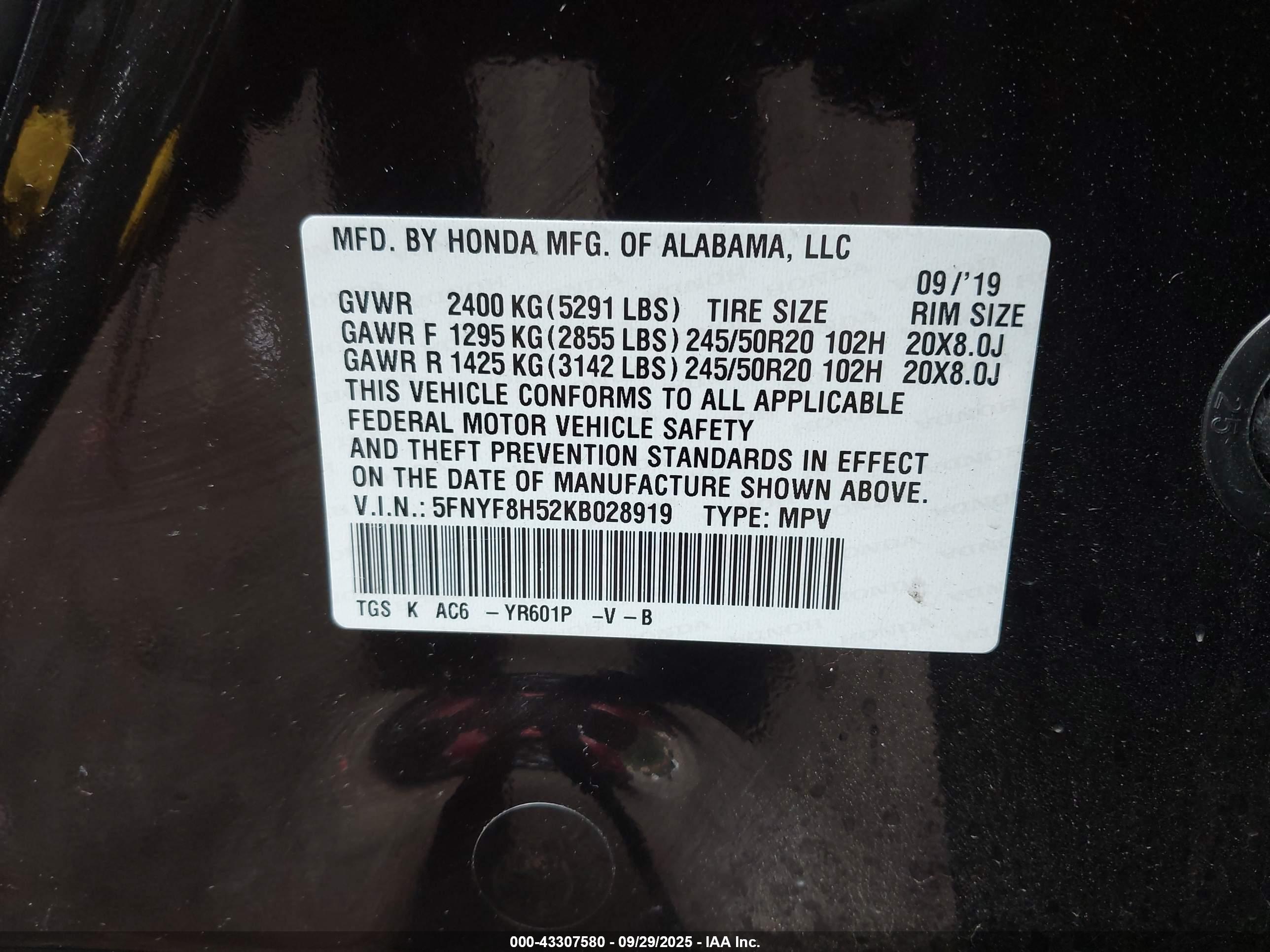 HONDA PASSPORT image 9