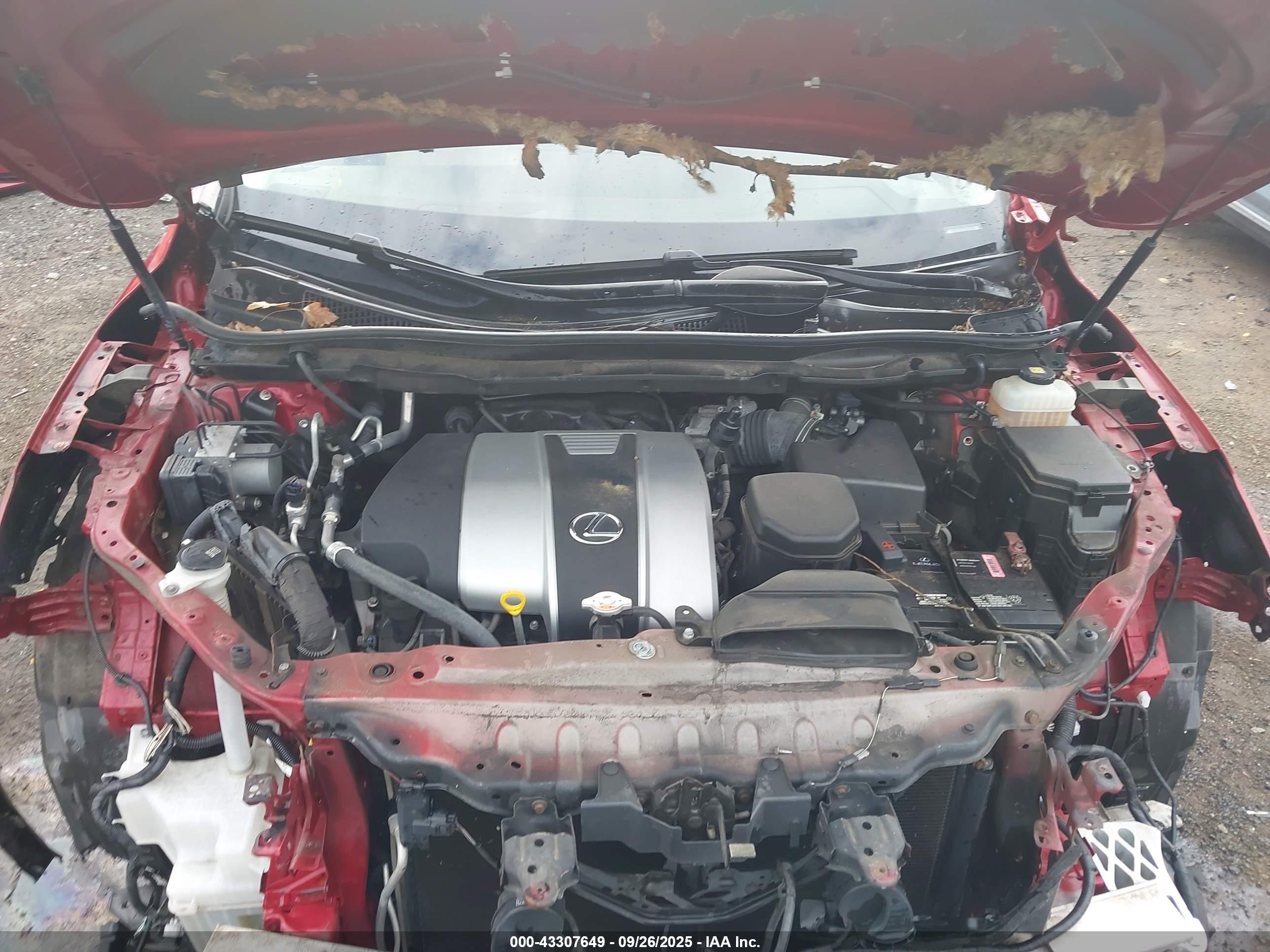 LEXUS RX image 10